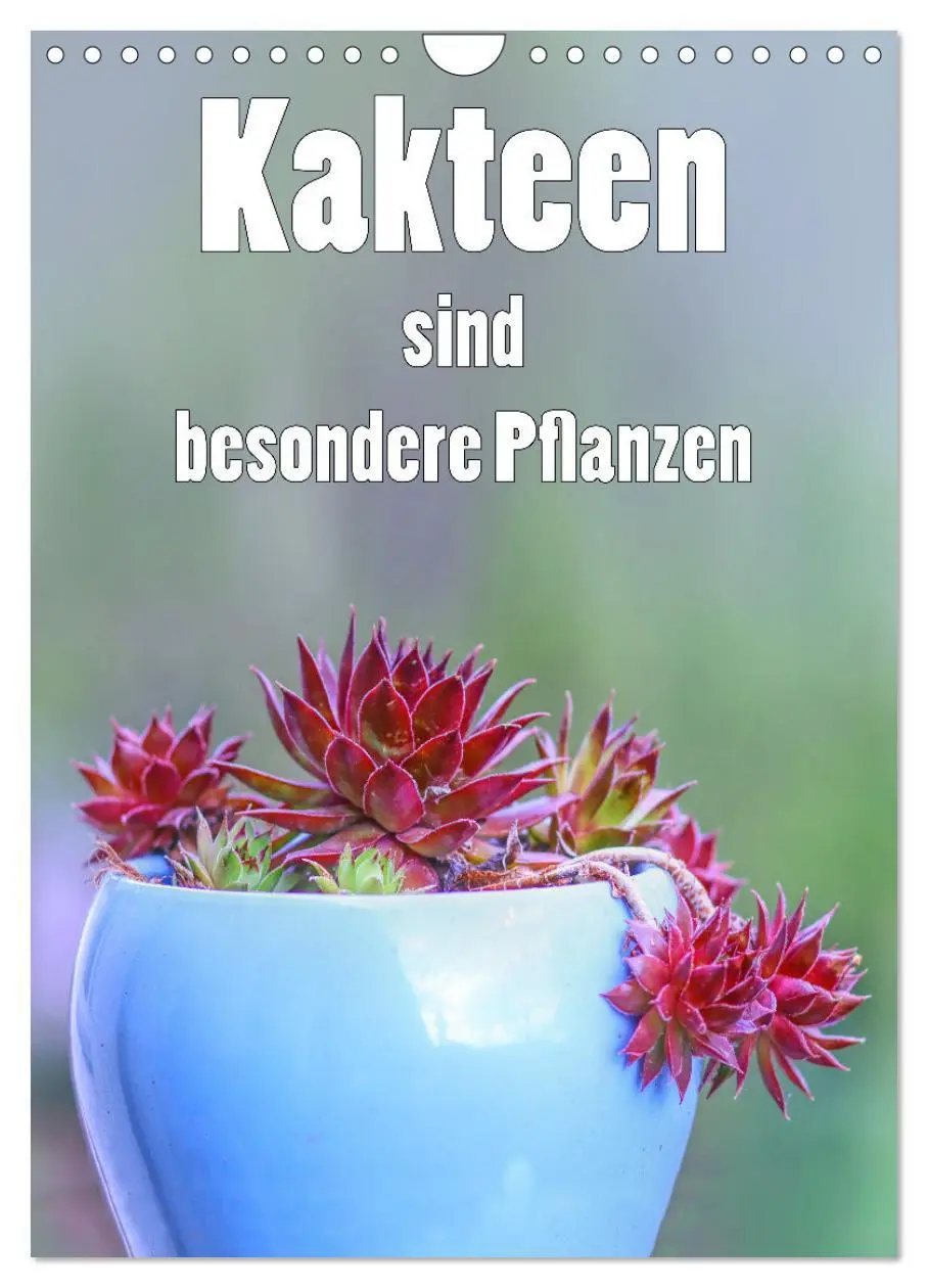 Cover: 9783516362220 | Kakteen sind besondere Pflanzen (Wandkalender 2026 DIN A4 hoch),...