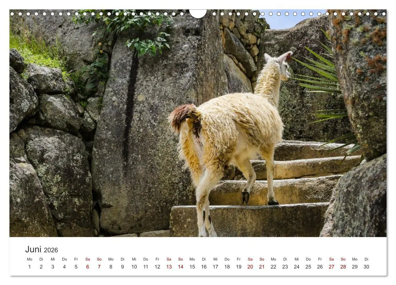 Bild: 9783516672220 | Macchu Picchu (Wandkalender 2026 DIN A3 quer), CALVENDO Monatskalender