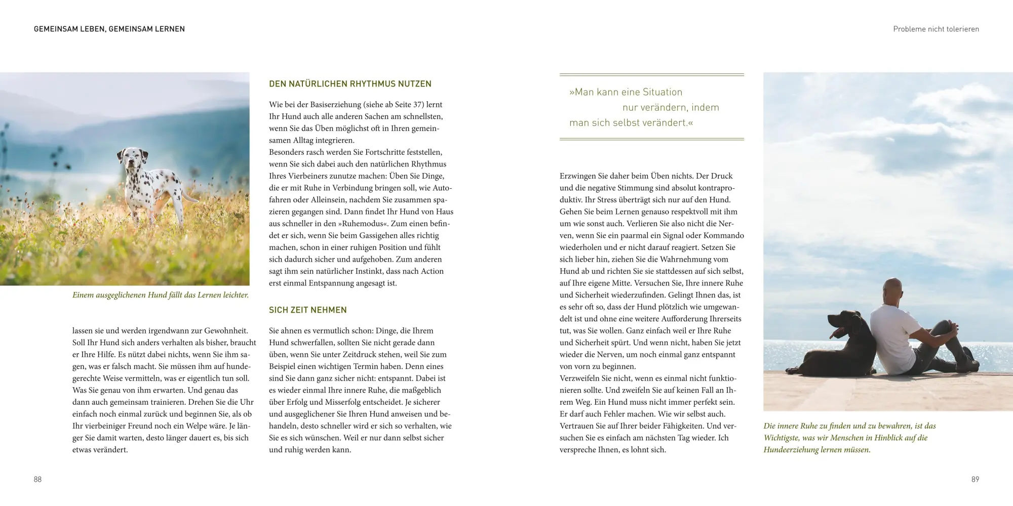 Bild: 9783833852220 | José Arce's Praxisbuch | José Arce | Taschenbuch | 168 S. | Deutsch