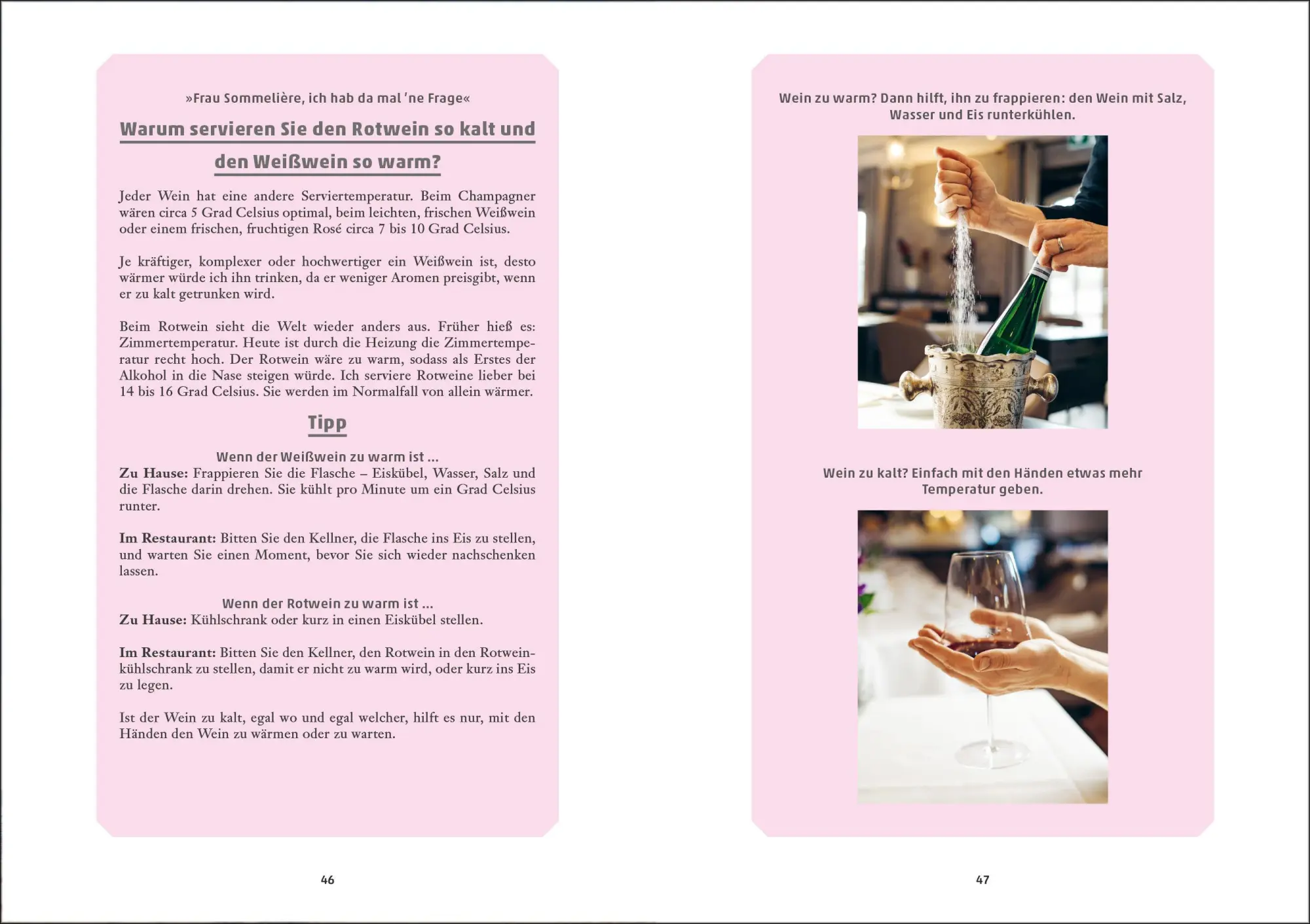 Bild: 9783517102320 | Wein, sonst nix | Bärbel Ring (u. a.) | Buch | 192 S. | Deutsch | 2024