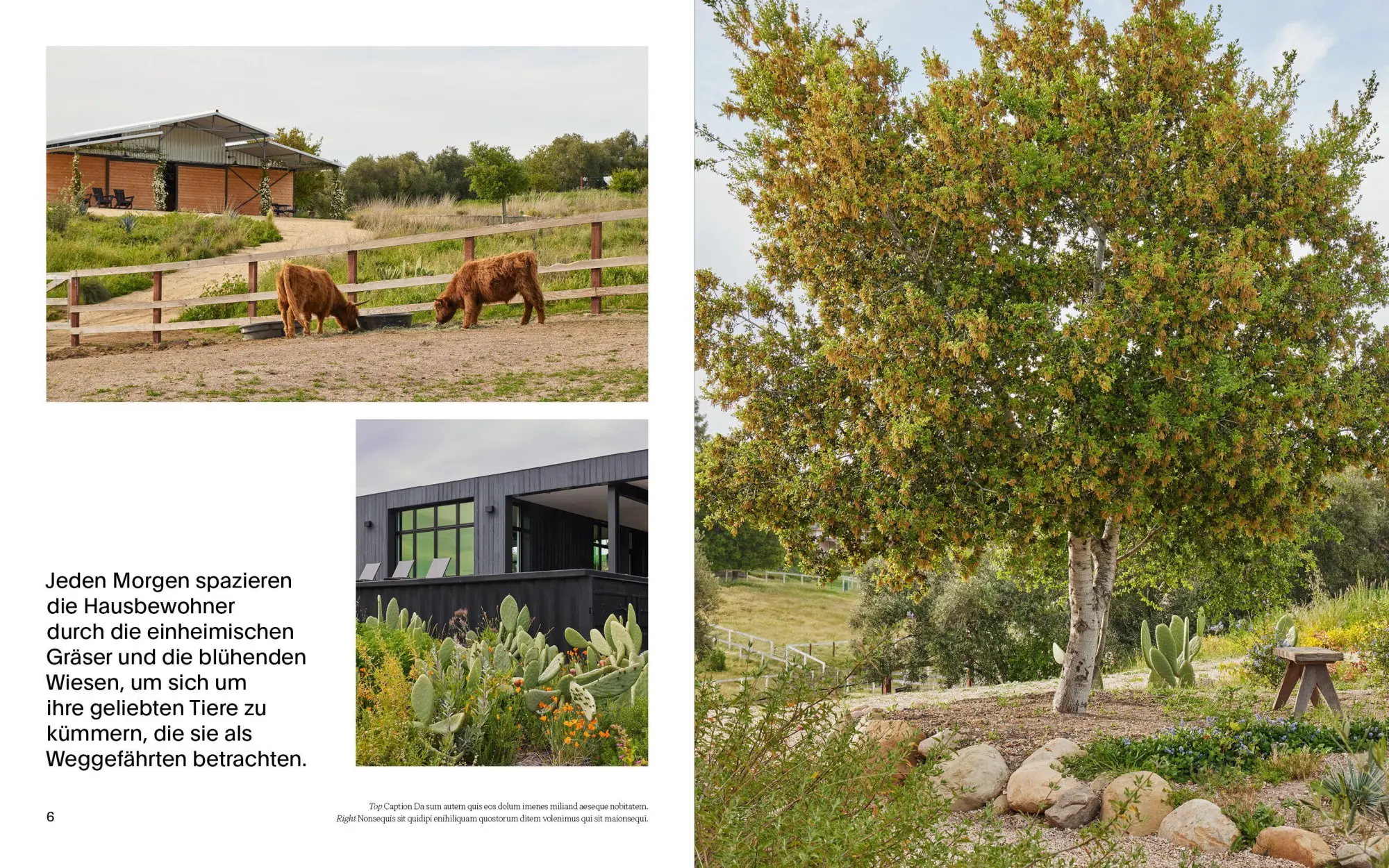Bild: 9783967042320 | Cottagecore Gärten | Grüne Rückzugsorte neu gedacht | Buch | 256 S.