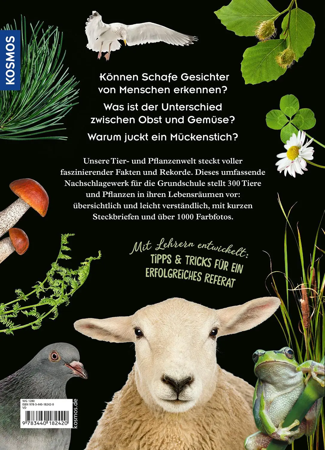 Bild: 9783440182420 | Mein Kosmos Grundschullexikon Tiere &amp; Pflanzen | Ilka Sokolowski