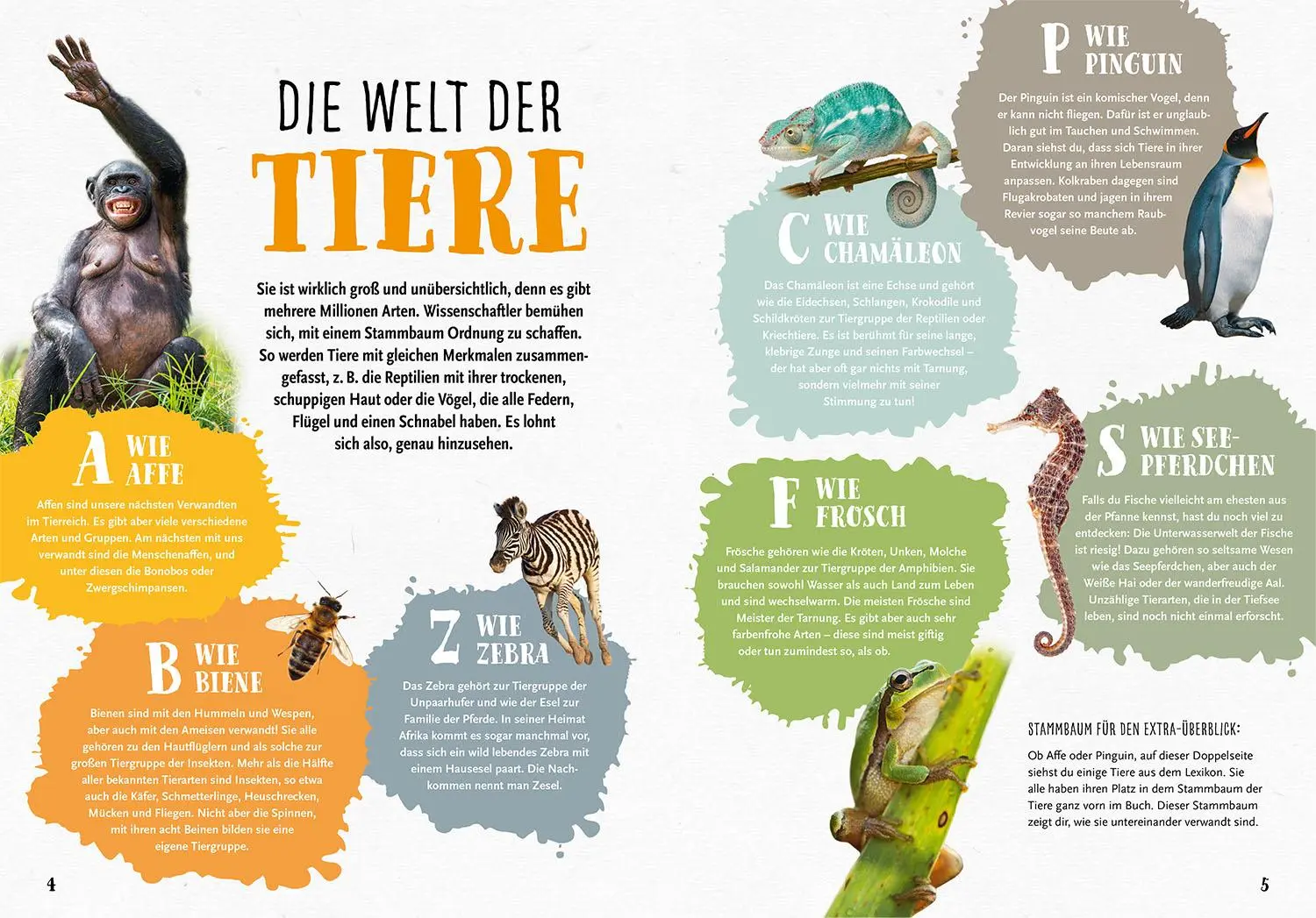 Bild: 9783440182420 | Mein Kosmos Grundschullexikon Tiere &amp; Pflanzen | Ilka Sokolowski