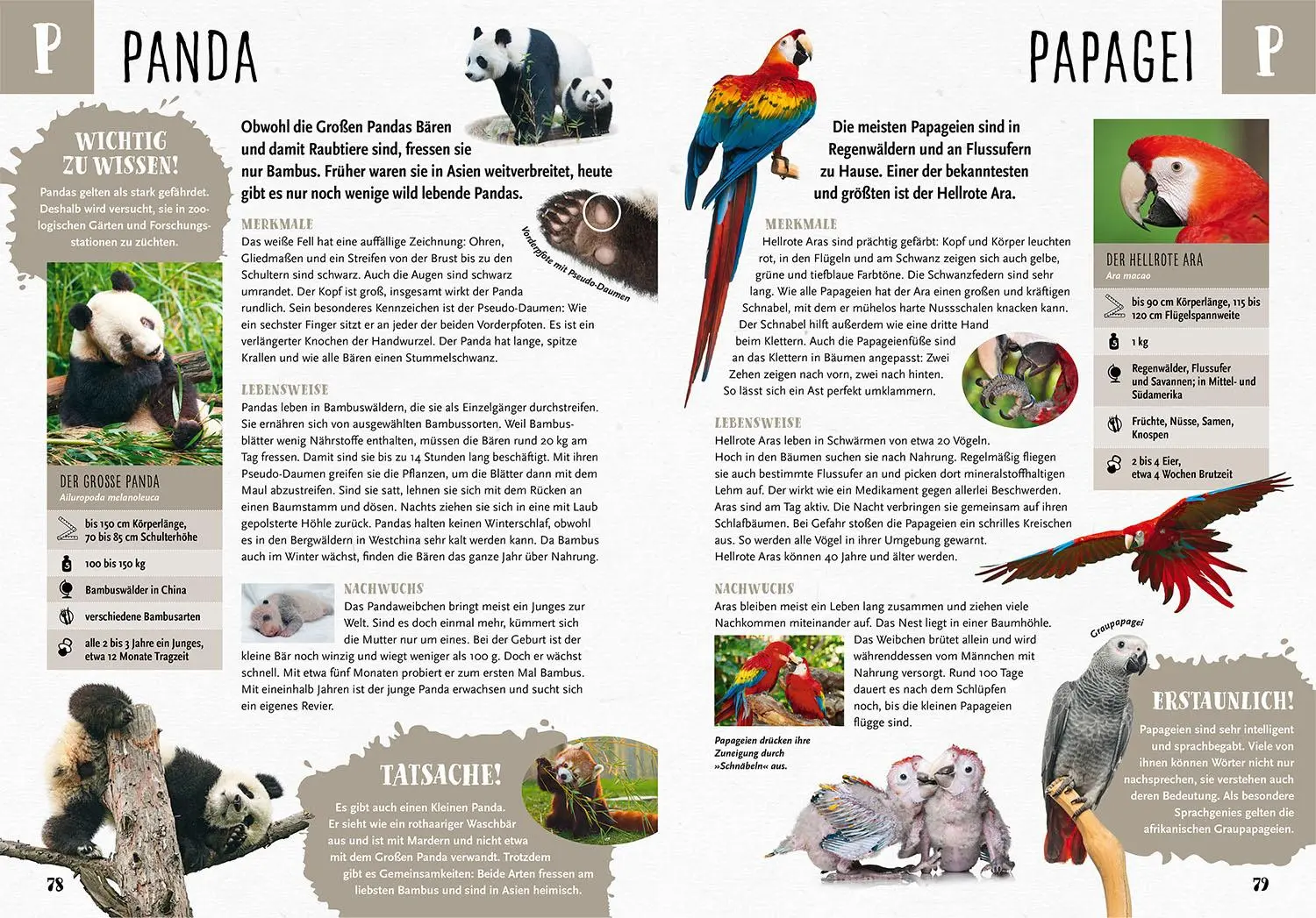 Bild: 9783440182420 | Mein Kosmos Grundschullexikon Tiere &amp; Pflanzen | Ilka Sokolowski