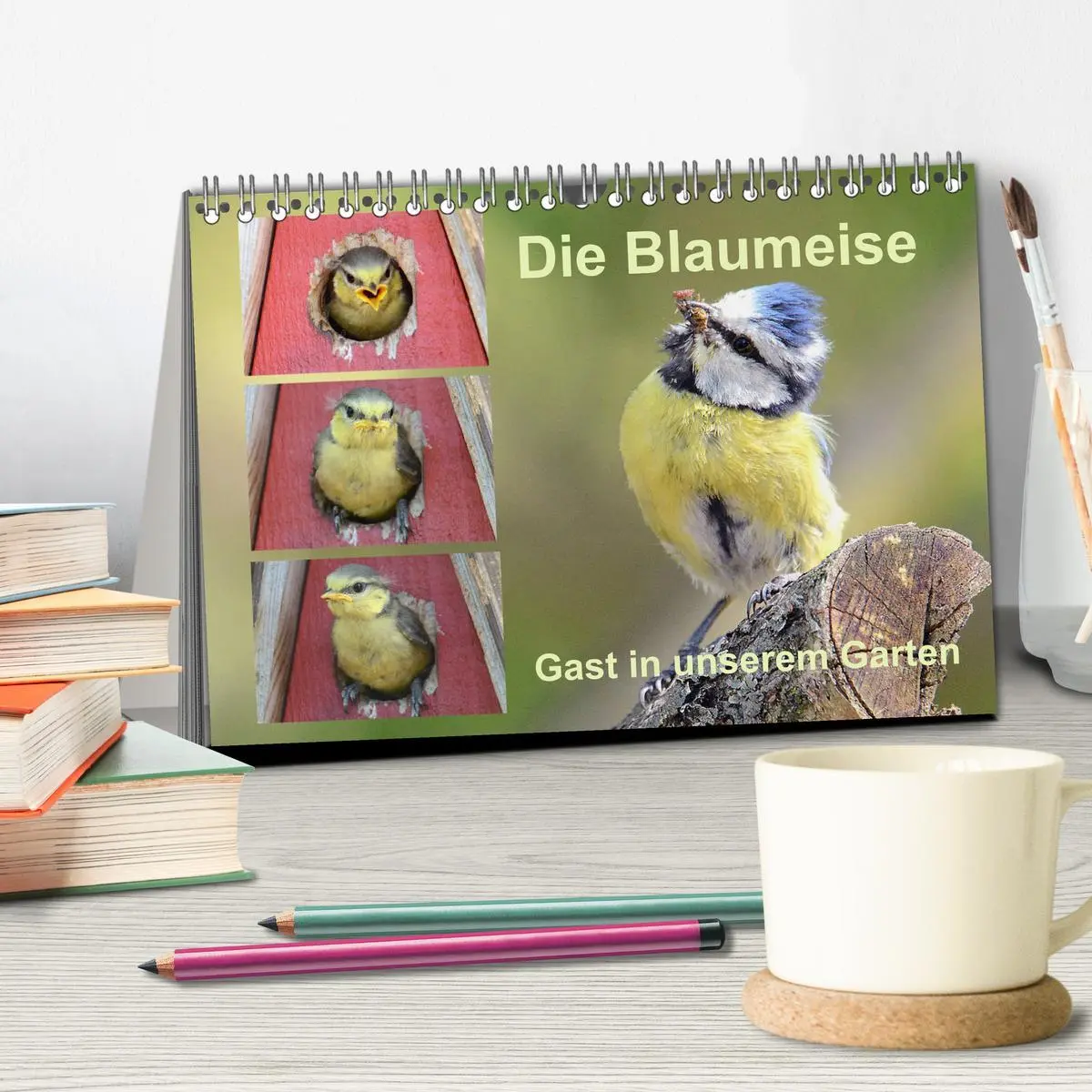 Bild: 9783457702420 | Die Blaumeise, Gast in unserem Garten (Tischkalender 2026 DIN A5...