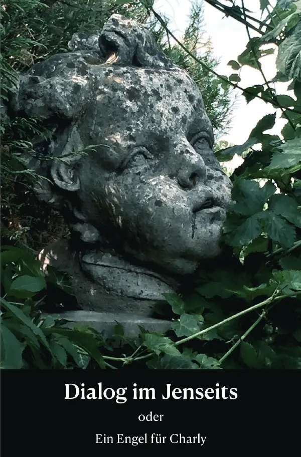 Cover: 9783819752520 | Dialog im Jenseits | Ein Engel für Charly. DE | Martin Brink | Buch