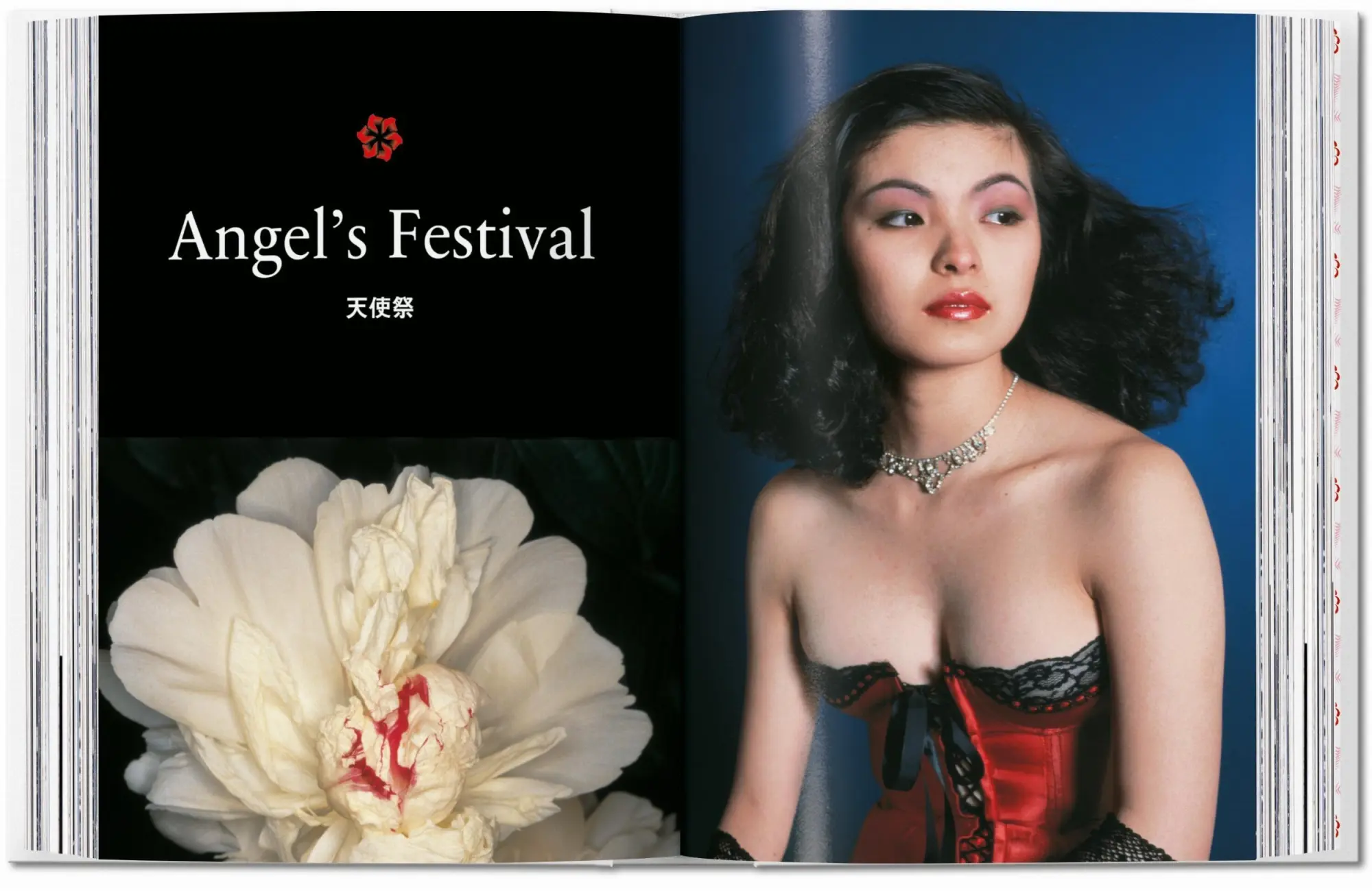 Bild: 9783836582520 | Araki. 40th Ed. | Nobuyoshi Araki | Buch | GER, Hardcover | 512 S.