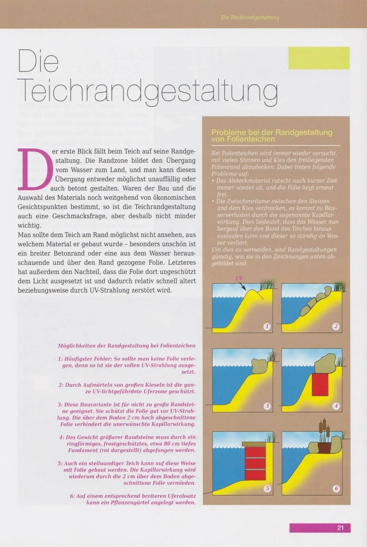Bild: 9783866592520 | Repräsentative Gartenteiche und Wassergärten | Bernhard Teichfischer