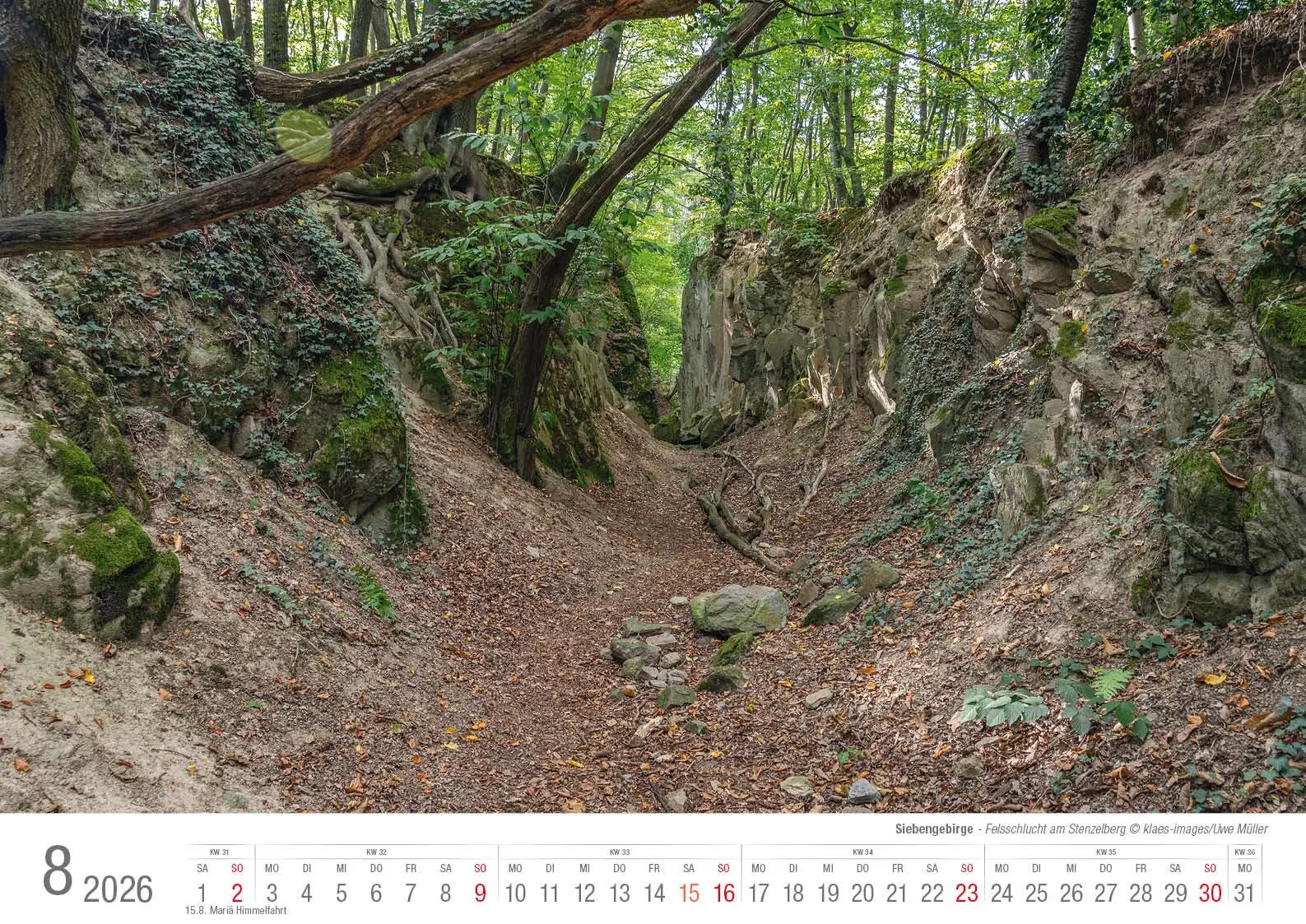Bild: 9783965352520 | Siebengebirge 2026 Bildkalender A3 quer, spiralgebunden | Holger Klaes