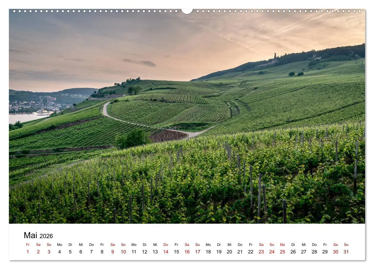 Bild: 9783457922620 | Rheingau 2026 (Wandkalender 2026 DIN A2 quer), CALVENDO Monatskalender
