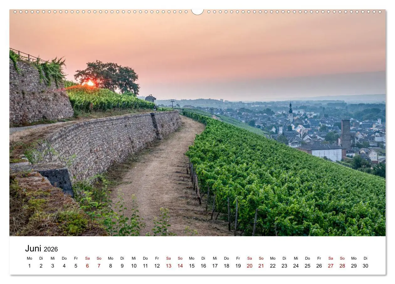 Bild: 9783457922620 | Rheingau 2026 (Wandkalender 2026 DIN A2 quer), CALVENDO Monatskalender