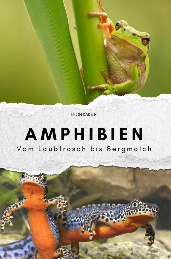 Cover: 9783759112620 | Amphibien - Das perfekte Geschenk für Männer und Frauen zu...