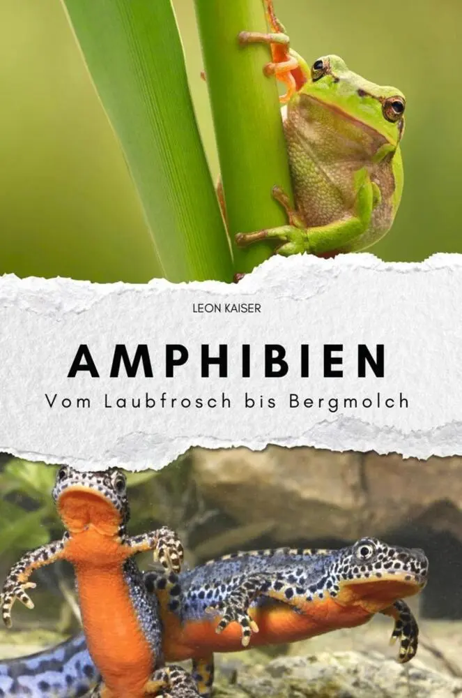 Cover: 9783759112620 | Amphibien - Das perfekte Geschenk für Männer und Frauen zu...