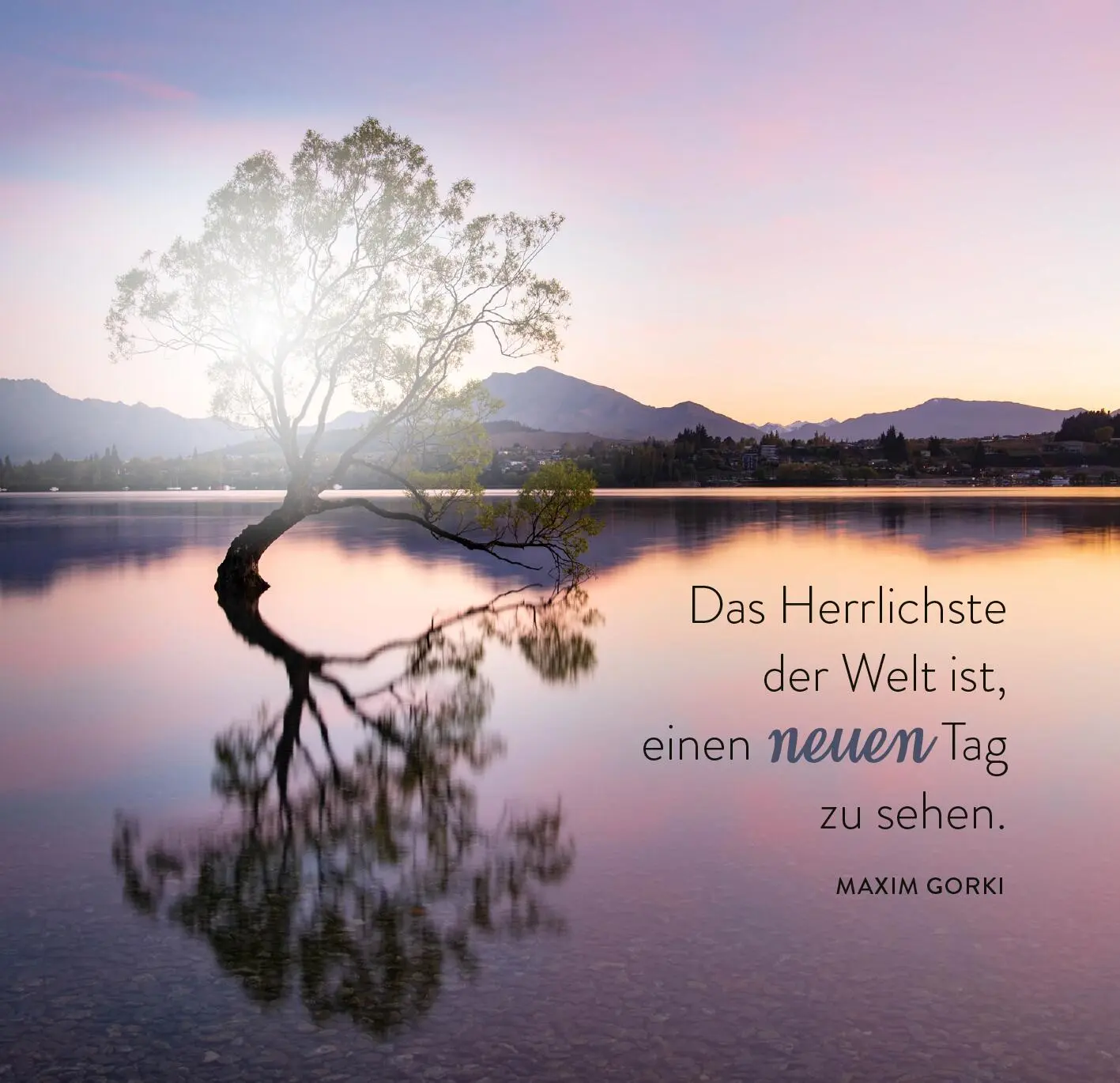 Bild: 9783845862620 | 365 Tage Sonne im Herzen | Taschenbuch | 365 Tage | 176 S. | Deutsch