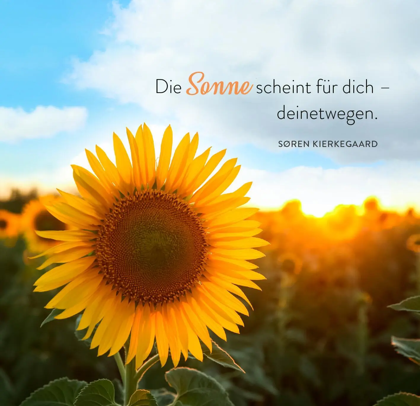 Bild: 9783845862620 | 365 Tage Sonne im Herzen | Taschenbuch | 365 Tage | 176 S. | Deutsch