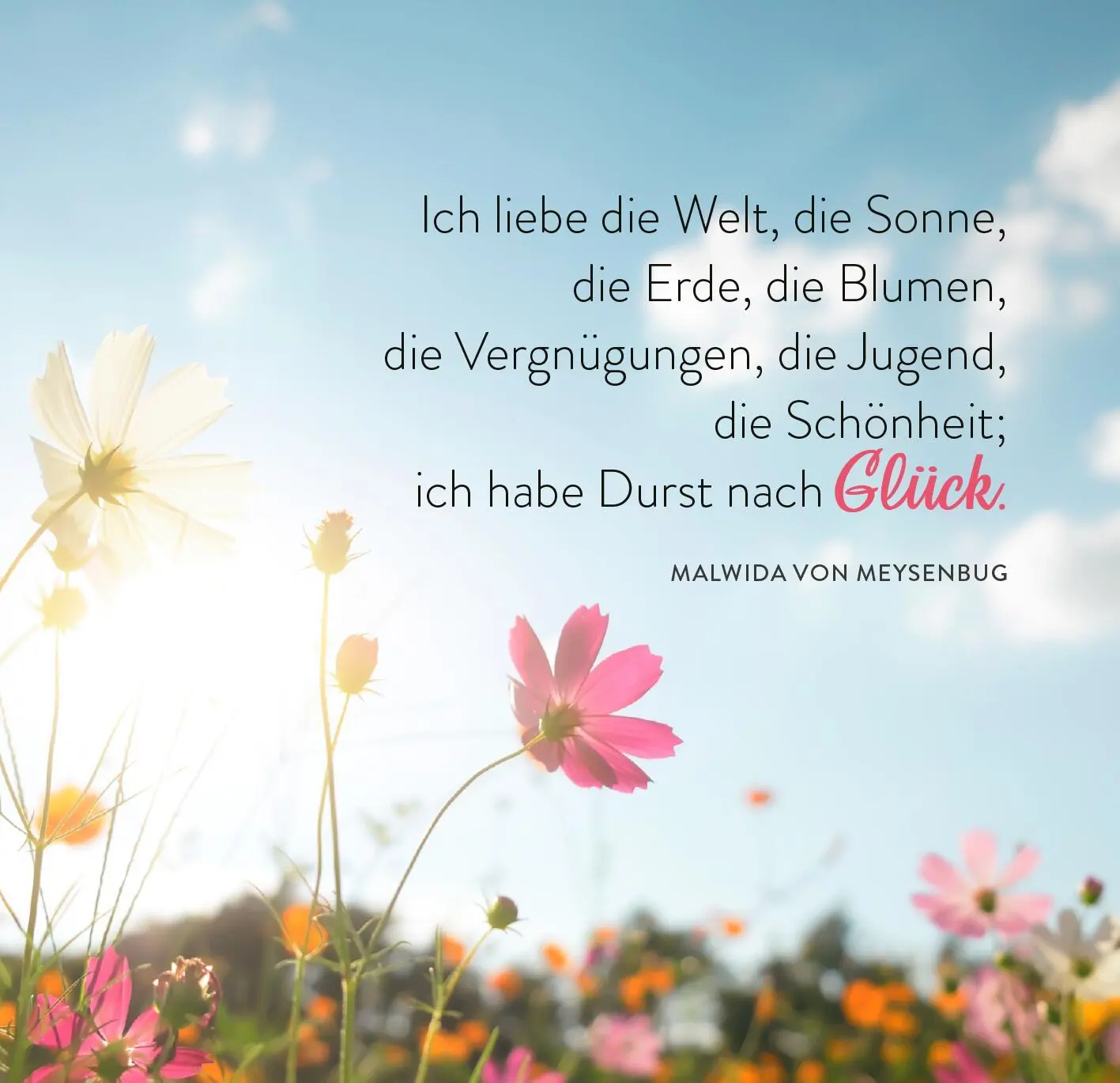 Bild: 9783845862620 | 365 Tage Sonne im Herzen | Taschenbuch | 365 Tage | 176 S. | Deutsch