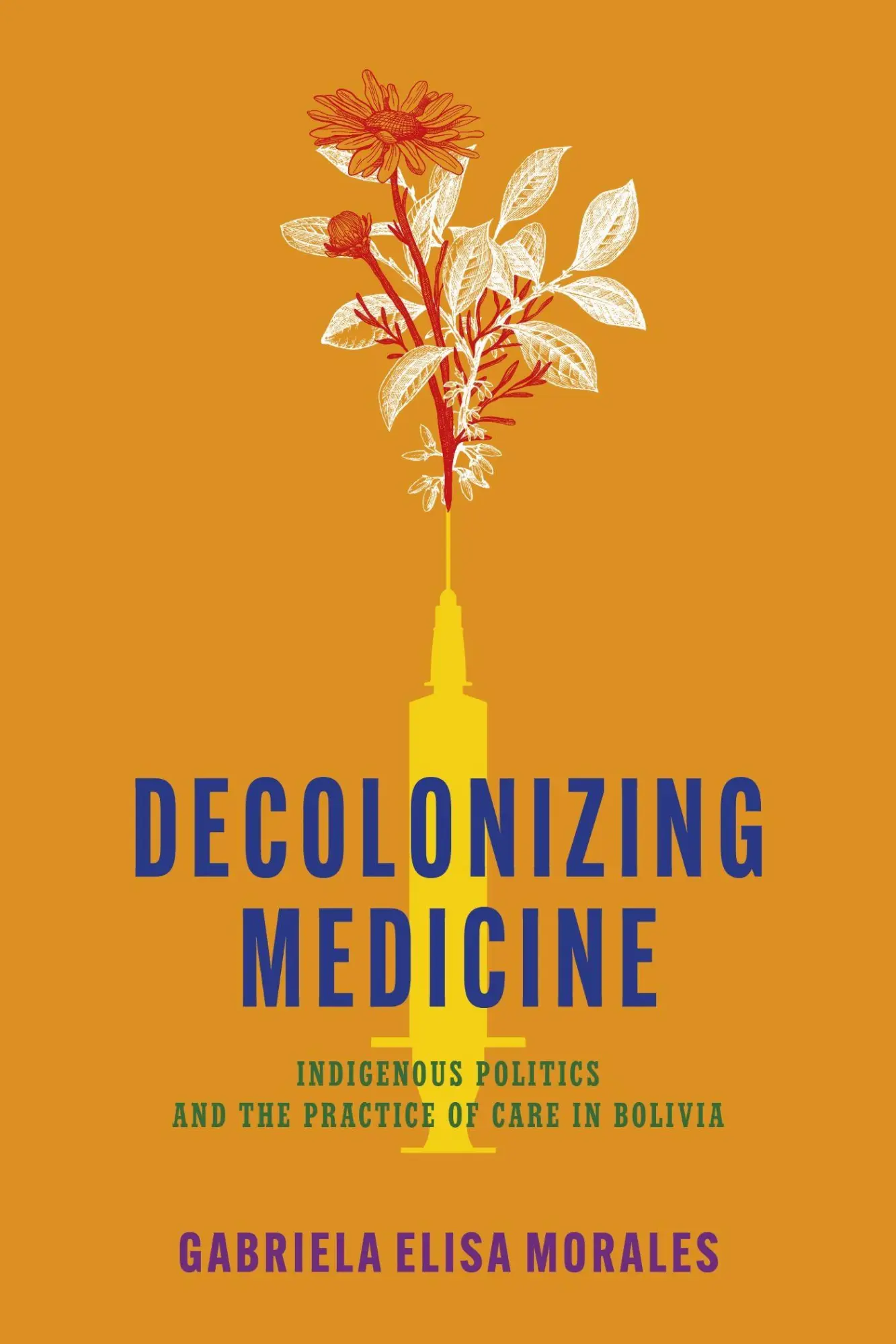 Cover: 9781503642720 | Decolonizing Medicine | Gabriela Elisa Morales | Taschenbuch | 2025