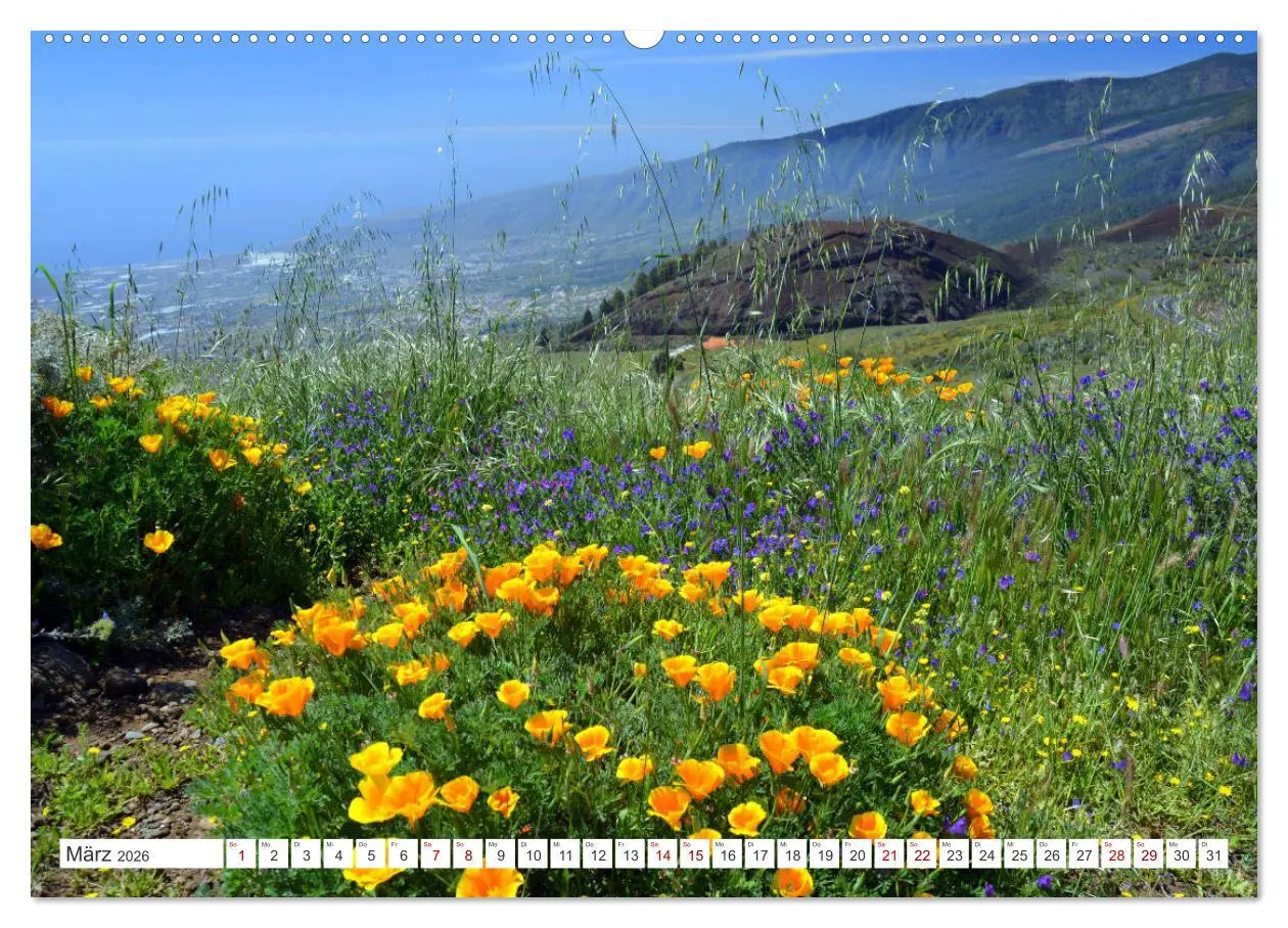 Bild: 9783457532720 | Teneriffa Insel der Glückseligen (Wandkalender 2026 DIN A2 quer),...