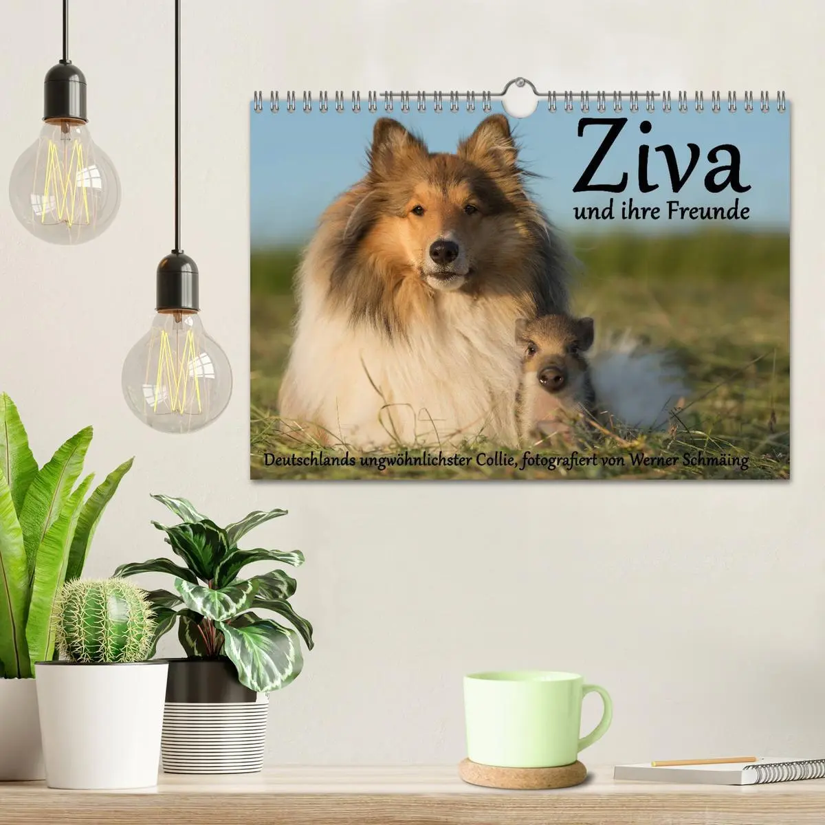 Bild: 9783516002720 | Ziva und ihre Freunde (Wandkalender 2026 DIN A4 quer), CALVENDO...