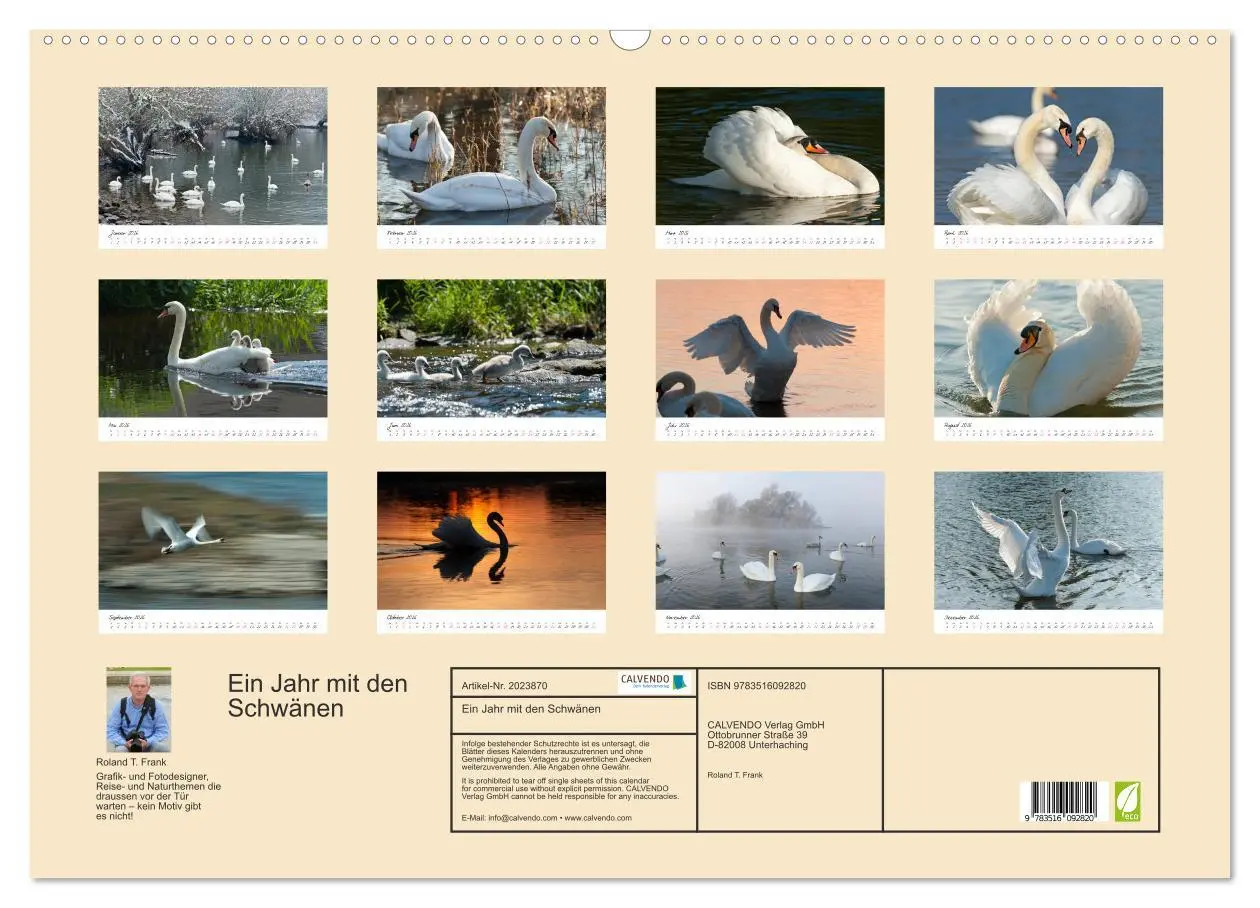 Bild: 9783516092820 | Ein Jahr mit den Schwänen (Wandkalender 2026 DIN A2 quer), CALVENDO...