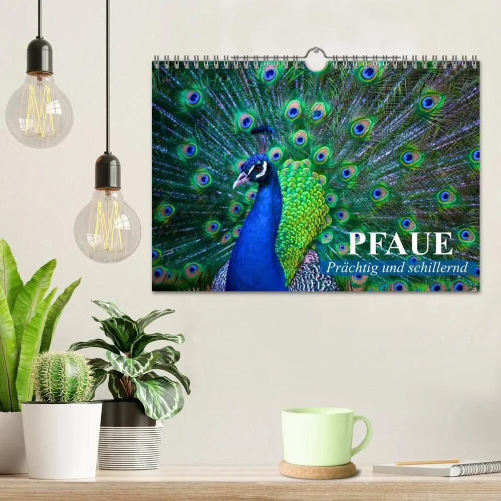 Bild: 9783435732920 | Pfaue. Prächtig und schillernd (Wandkalender 2025 DIN A4 quer),...