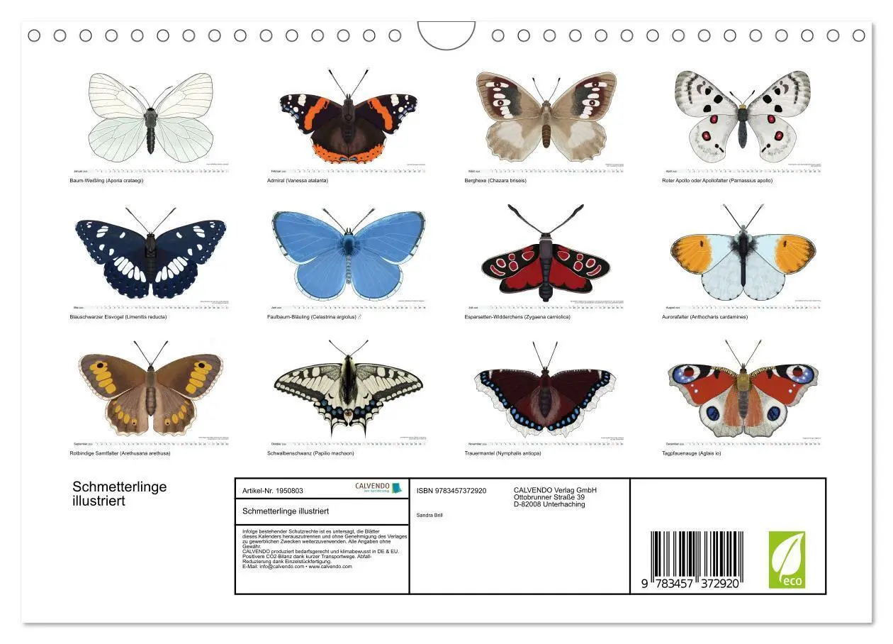 Bild: 9783457372920 | Schmetterlinge illustriert (Wandkalender 2026 DIN A4 quer),...