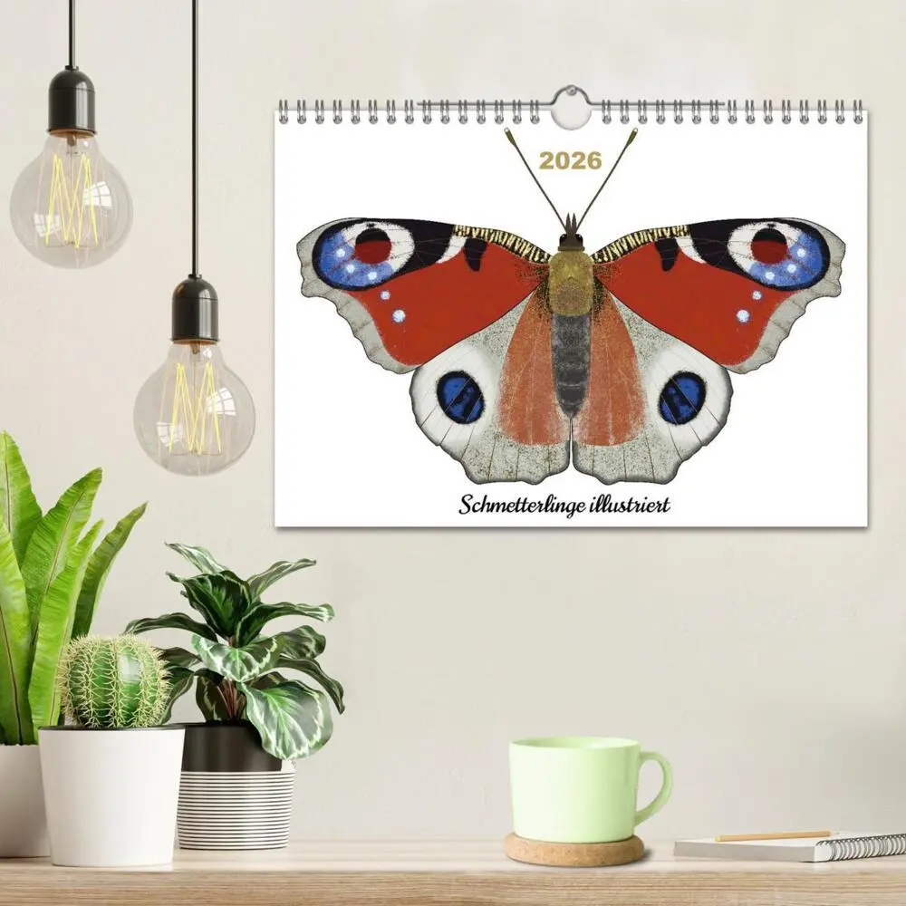 Bild: 9783457372920 | Schmetterlinge illustriert (Wandkalender 2026 DIN A4 quer),...