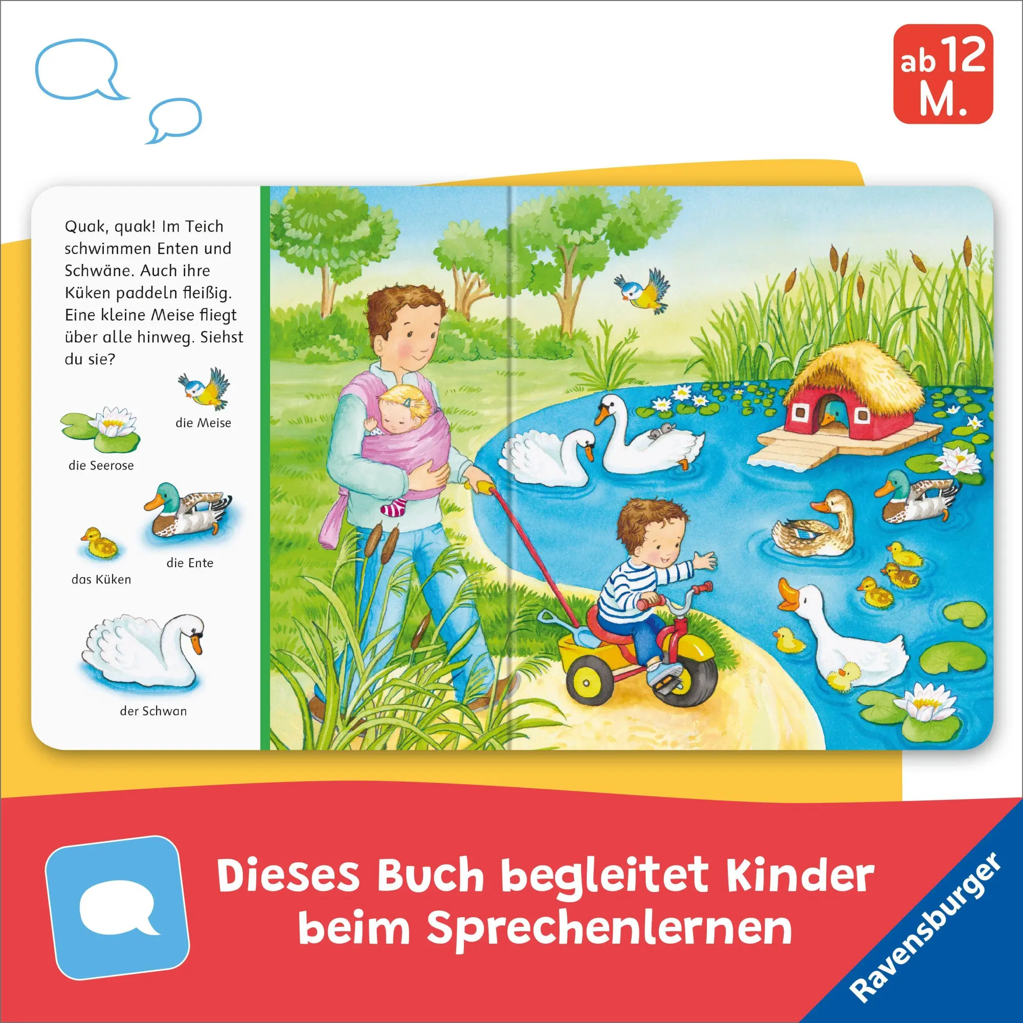 Bild: 9783473422920 | Mein erstes Sachen suchen: Lieblingstiere | Sandra Grimm | Buch | 2026