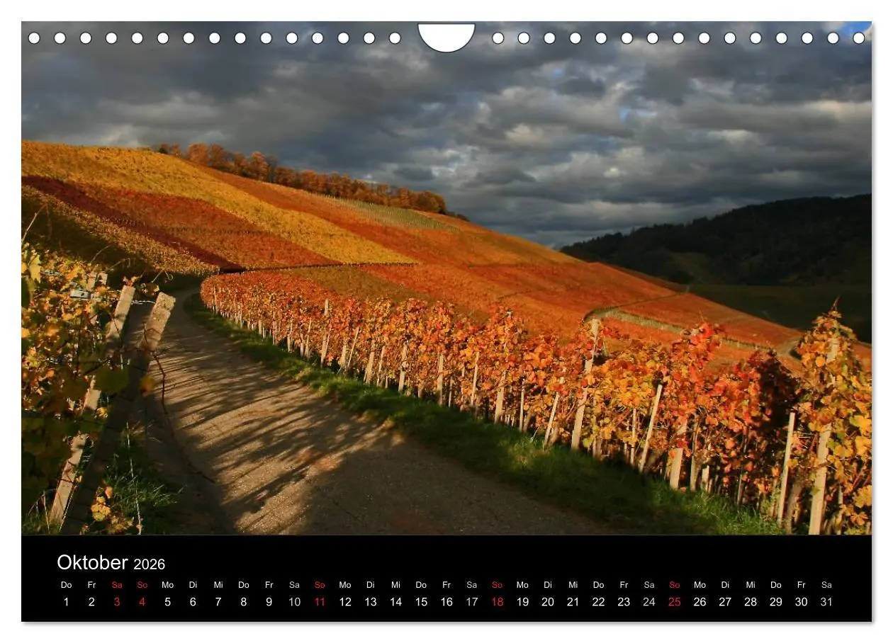 Bild: 9783516152920 | Mein Ortenaukalender 2026 (Wandkalender 2026 DIN A4 quer), CALVENDO...