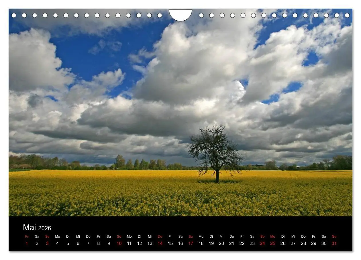 Bild: 9783516152920 | Mein Ortenaukalender 2026 (Wandkalender 2026 DIN A4 quer), CALVENDO...