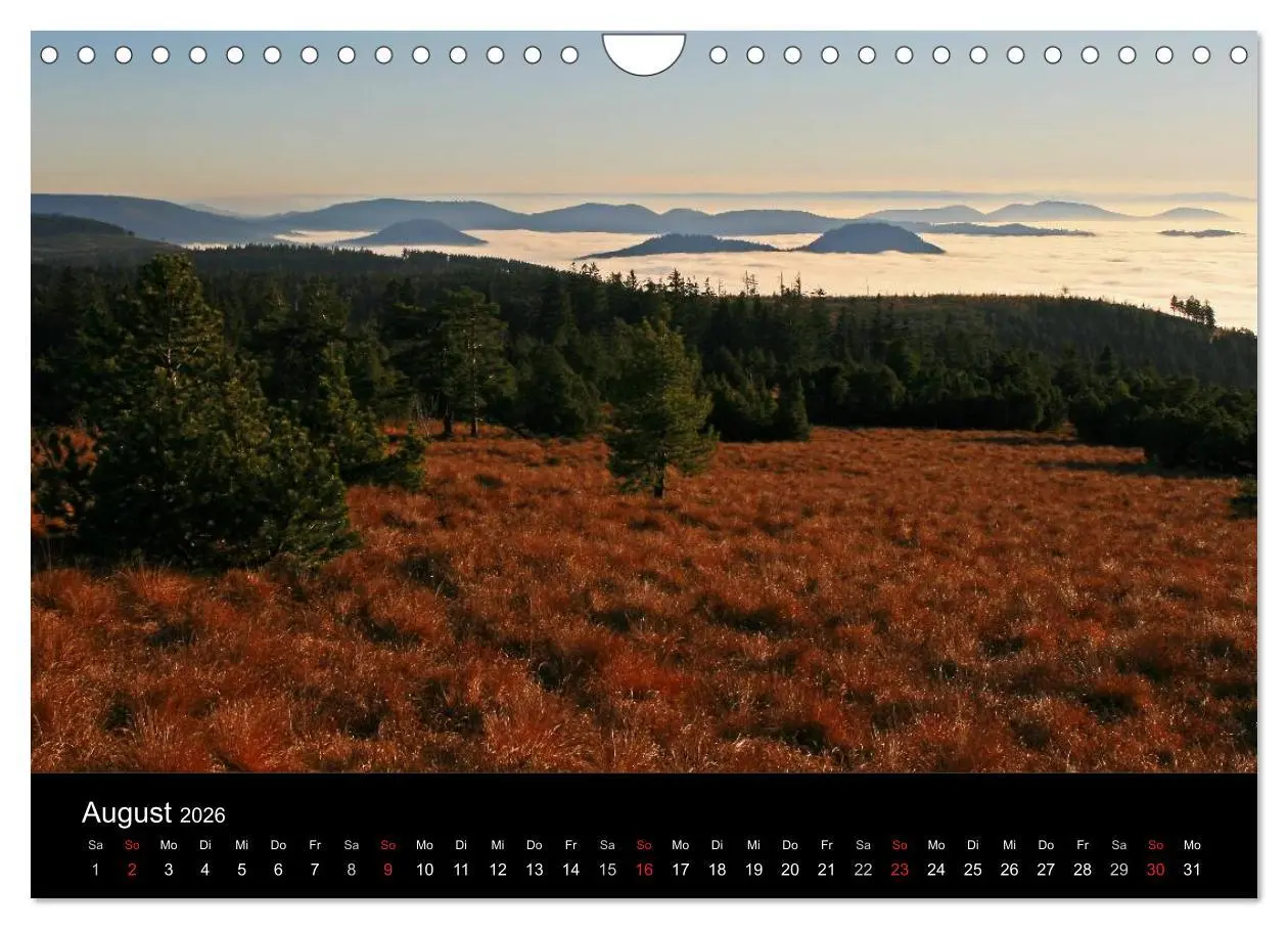 Bild: 9783516152920 | Mein Ortenaukalender 2026 (Wandkalender 2026 DIN A4 quer), CALVENDO...