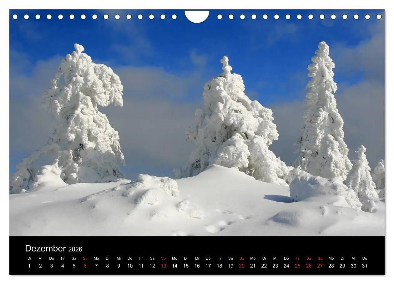Bild: 9783516152920 | Mein Ortenaukalender 2026 (Wandkalender 2026 DIN A4 quer), CALVENDO...