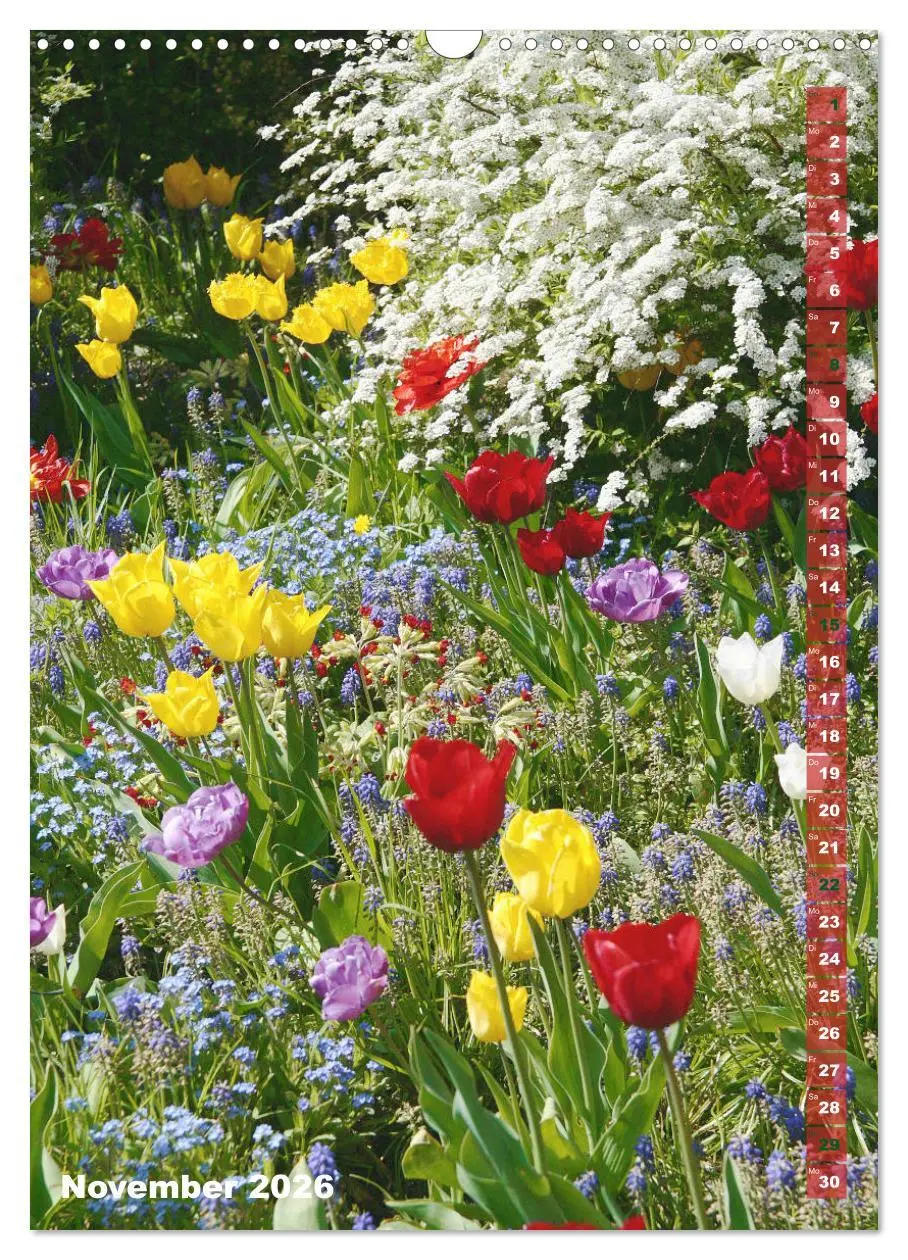 Bild: 9783516392920 | Bunte Tulpenpracht (Wandkalender 2026 DIN A3 hoch), CALVENDO...