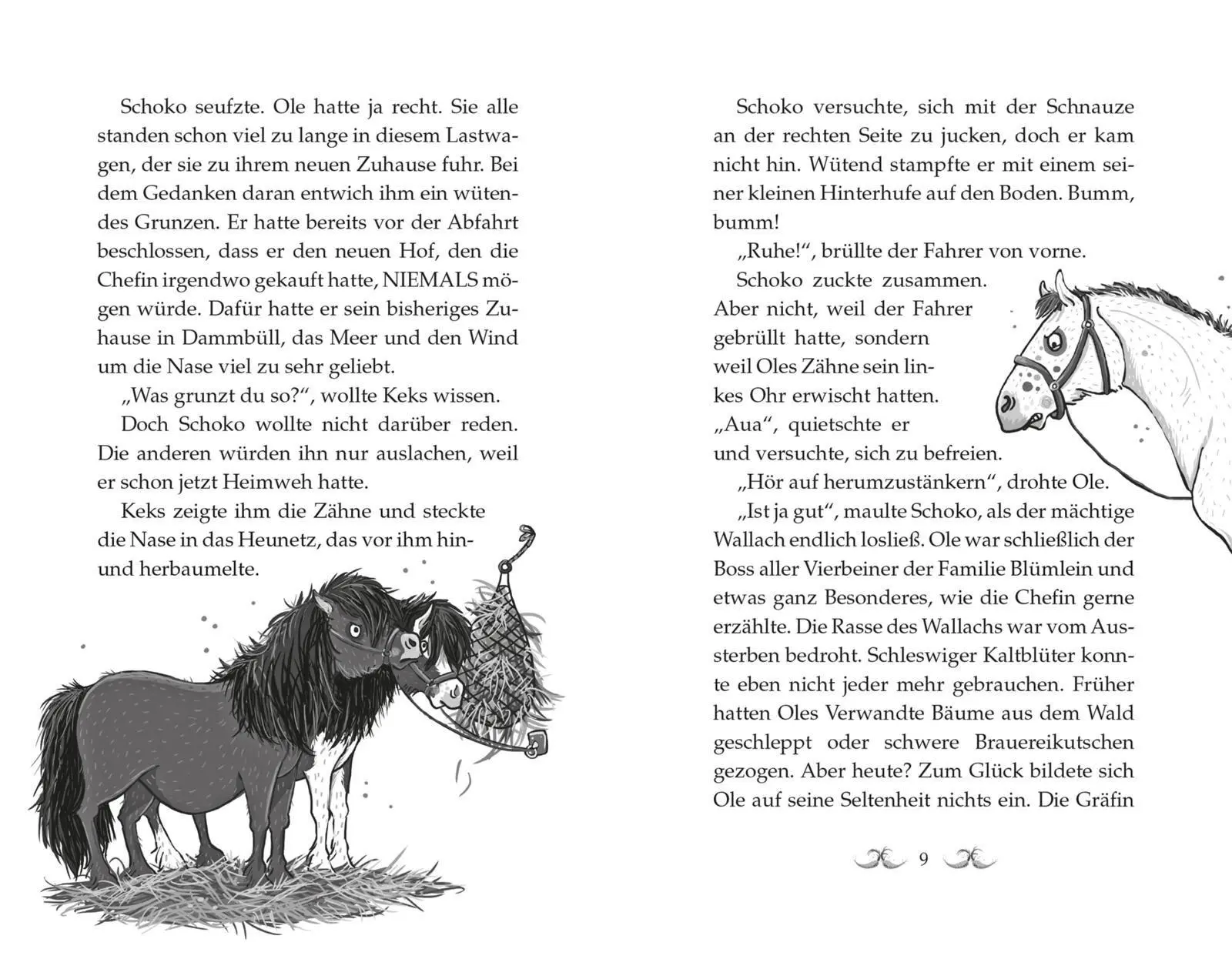 Bild: 9783551322920 | Die Haferhorde 1: Flausen im Schopf | Suza Kolb | Taschenbuch | 160 S.