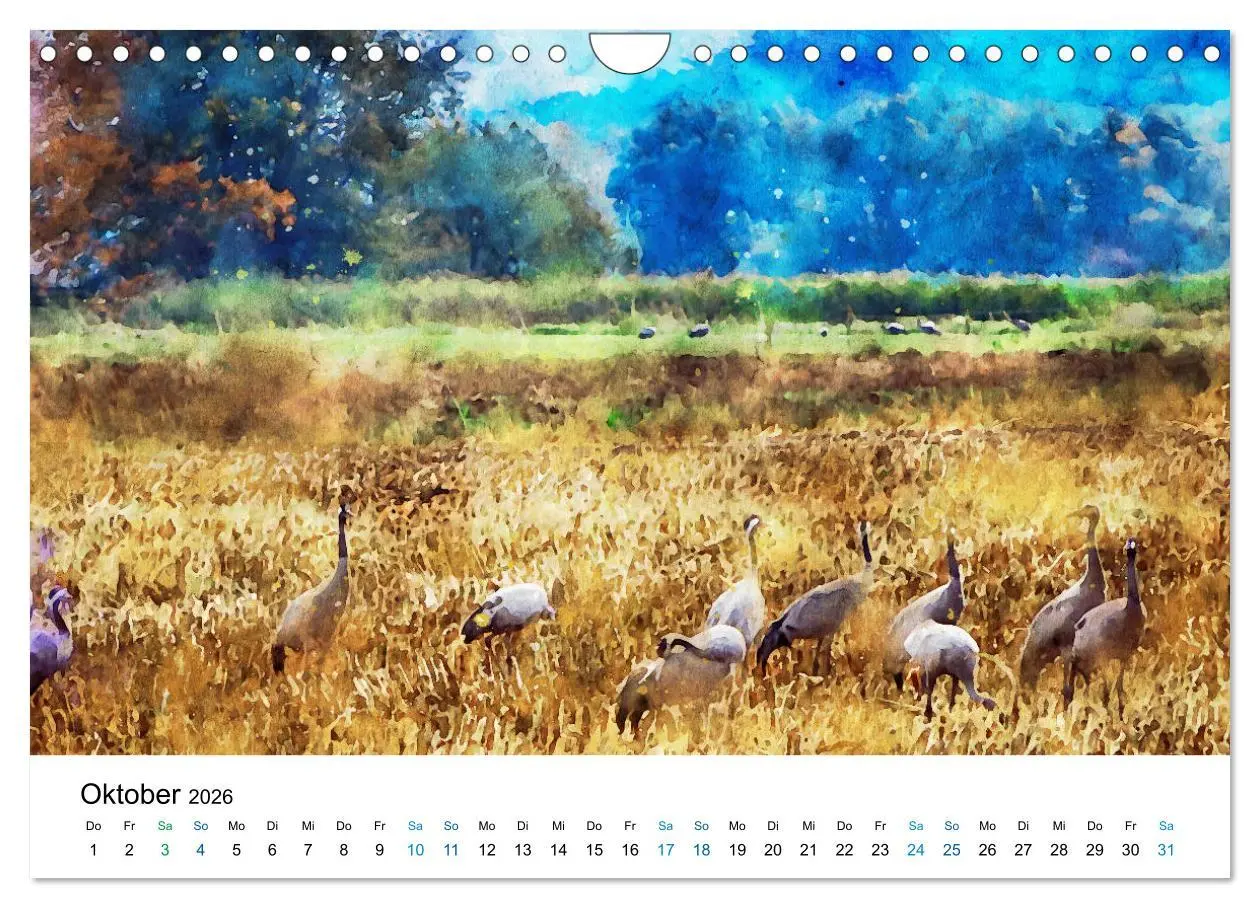Bild: 9783457713020 | Havelland in Aquarell (Wandkalender 2026 DIN A4 quer), CALVENDO...