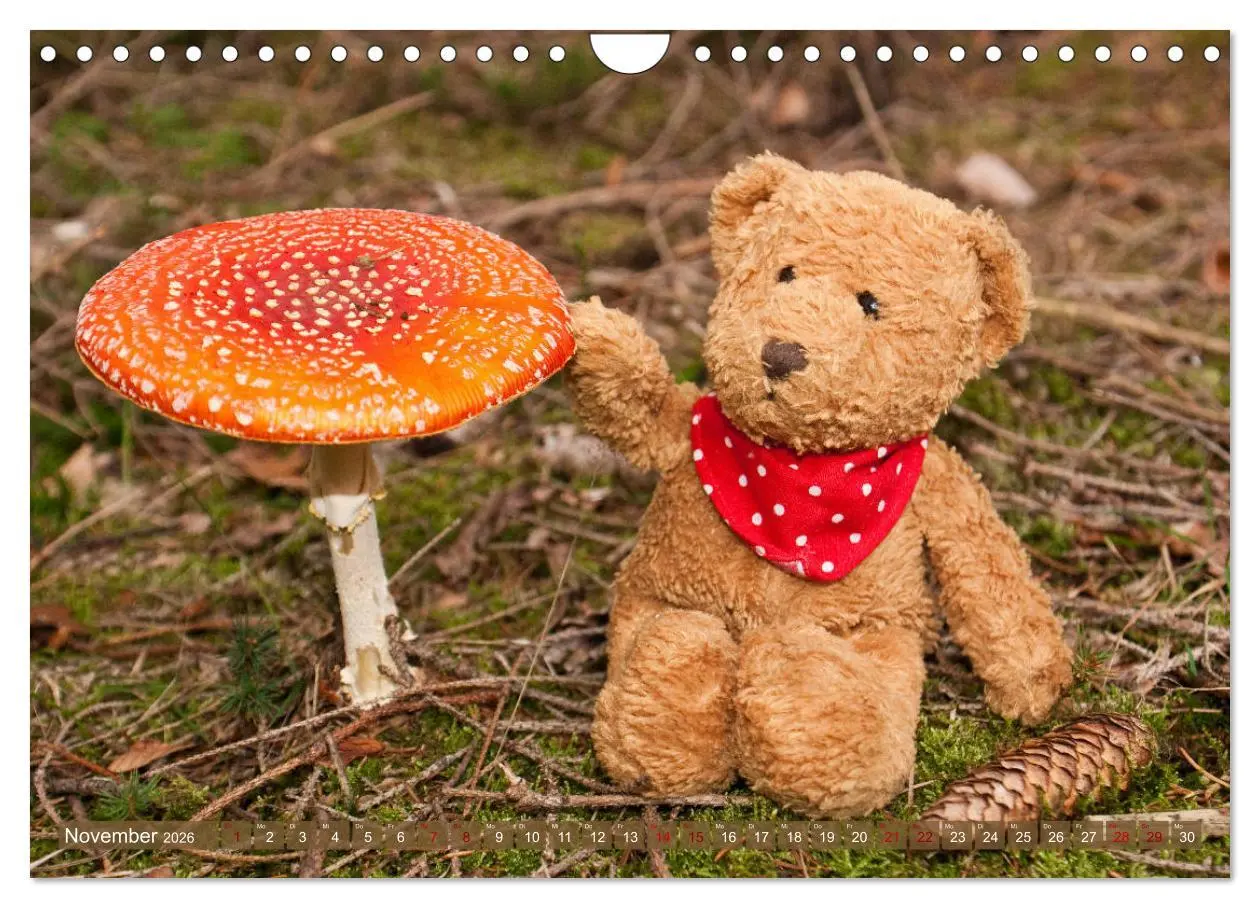 Bild: 9783457883020 | Kunterbunte Bärenwelt - Teddys (Wandkalender 2026 DIN A4 quer),...