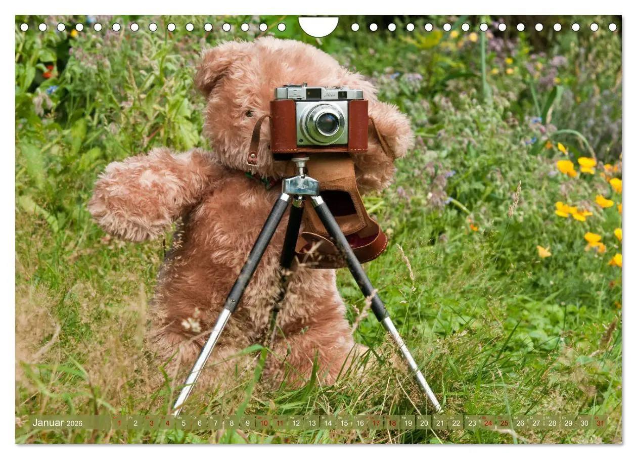 Bild: 9783457883020 | Kunterbunte Bärenwelt - Teddys (Wandkalender 2026 DIN A4 quer),...