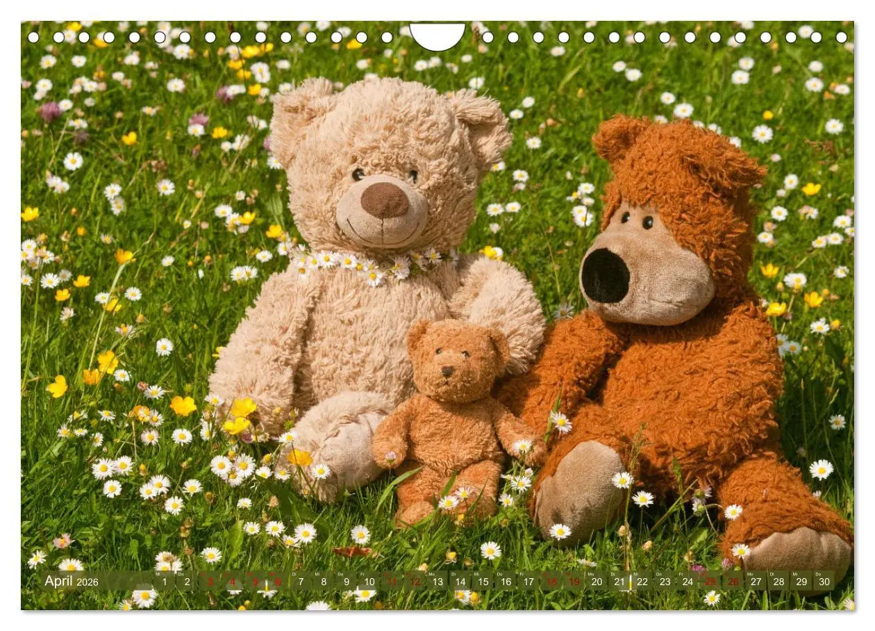 Bild: 9783457883020 | Kunterbunte Bärenwelt - Teddys (Wandkalender 2026 DIN A4 quer),...