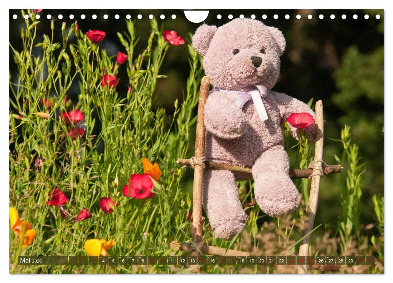 Bild: 9783457883020 | Kunterbunte Bärenwelt - Teddys (Wandkalender 2026 DIN A4 quer),...