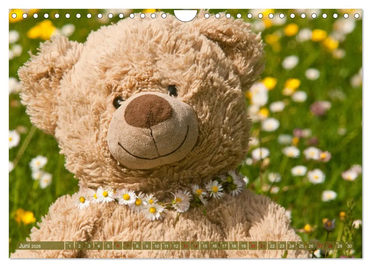 Bild: 9783457883020 | Kunterbunte Bärenwelt - Teddys (Wandkalender 2026 DIN A4 quer),...