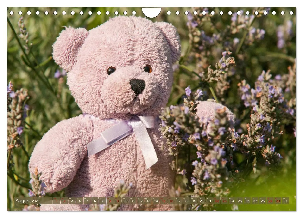 Bild: 9783457883020 | Kunterbunte Bärenwelt - Teddys (Wandkalender 2026 DIN A4 quer),...