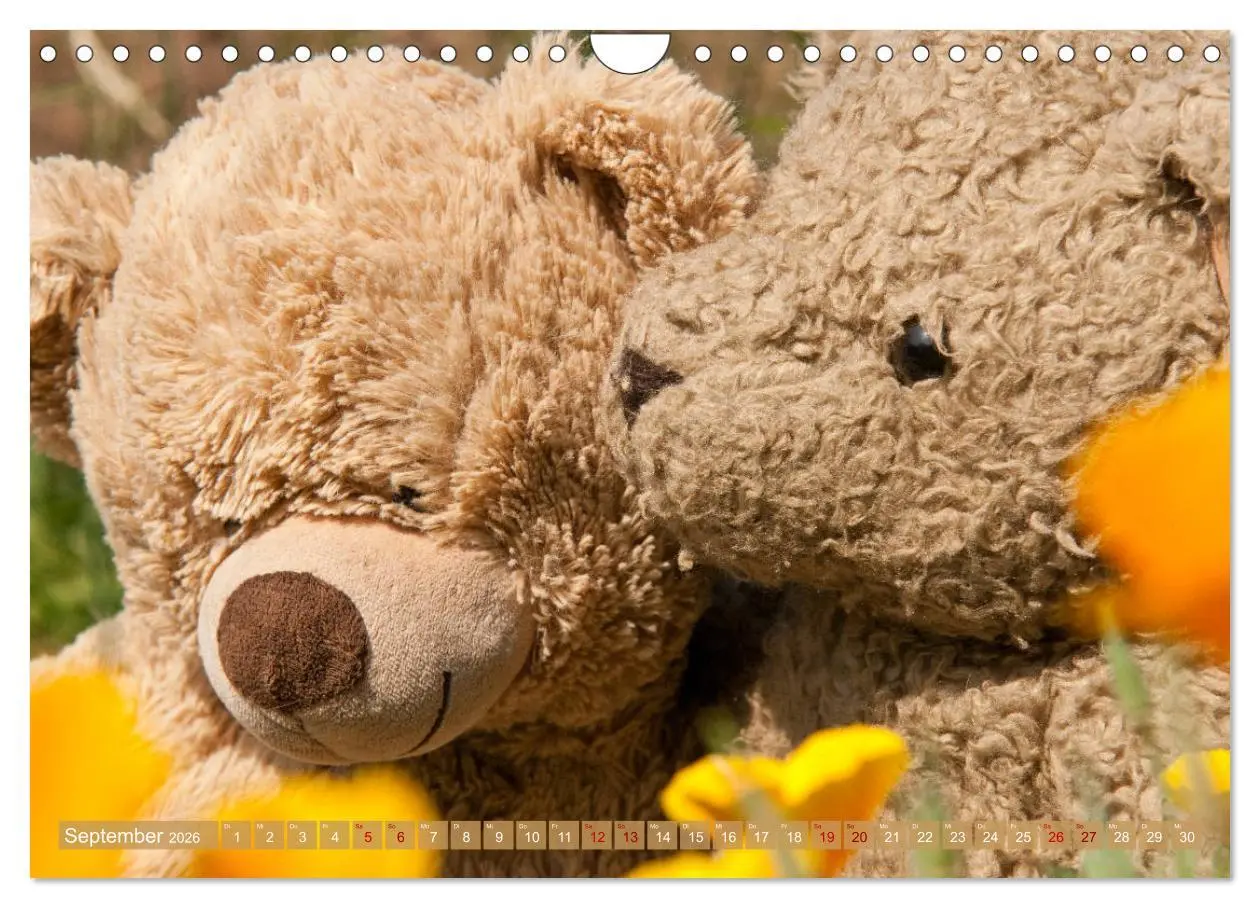 Bild: 9783457883020 | Kunterbunte Bärenwelt - Teddys (Wandkalender 2026 DIN A4 quer),...