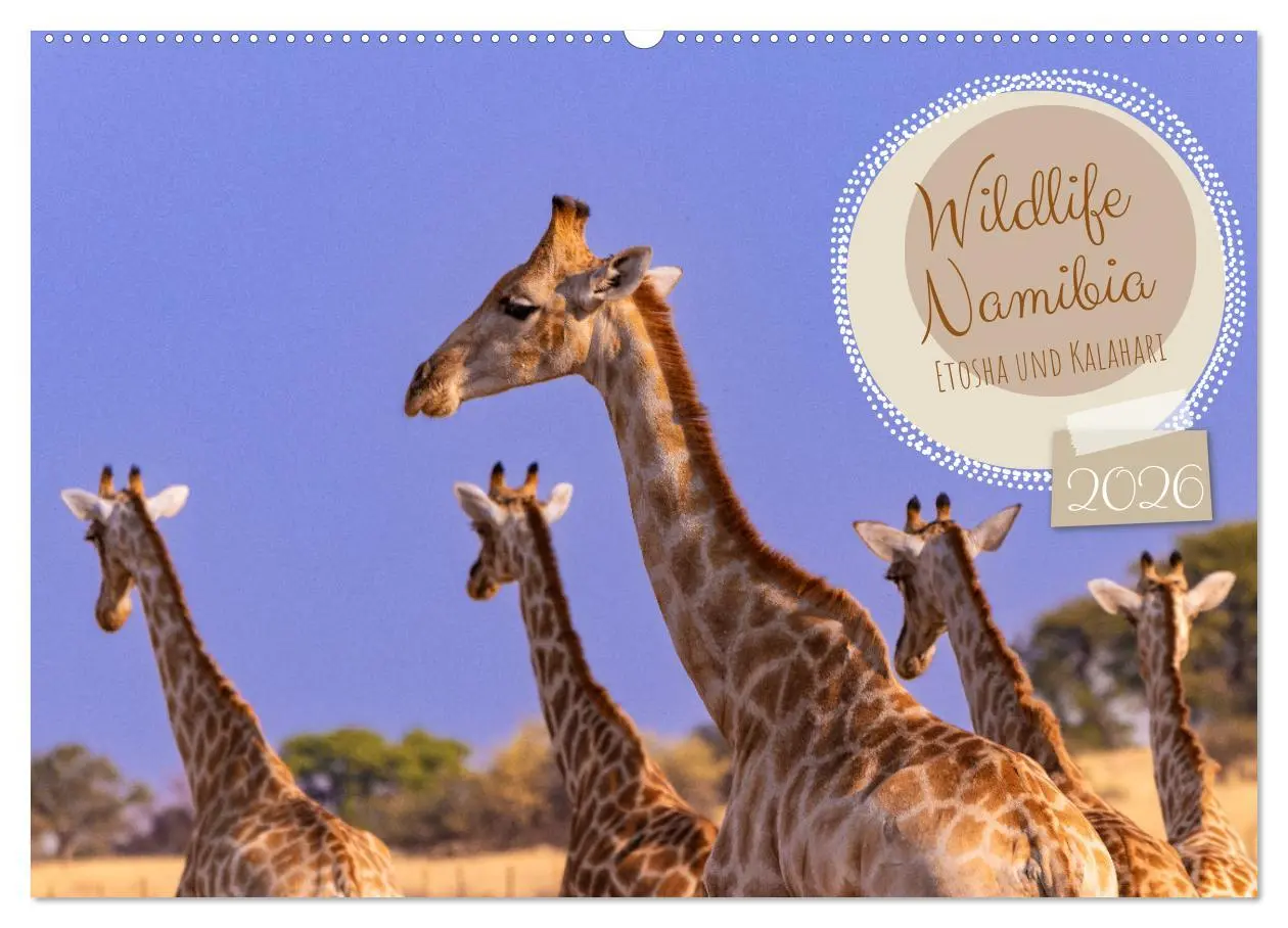 Cover: 9783457493120 | Wildlife Namibia - Etosha und Kalahari (Wandkalender 2026 DIN A2...