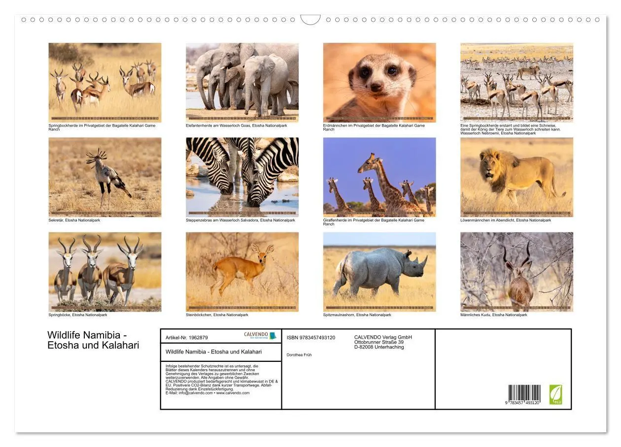 Bild: 9783457493120 | Wildlife Namibia - Etosha und Kalahari (Wandkalender 2026 DIN A2...