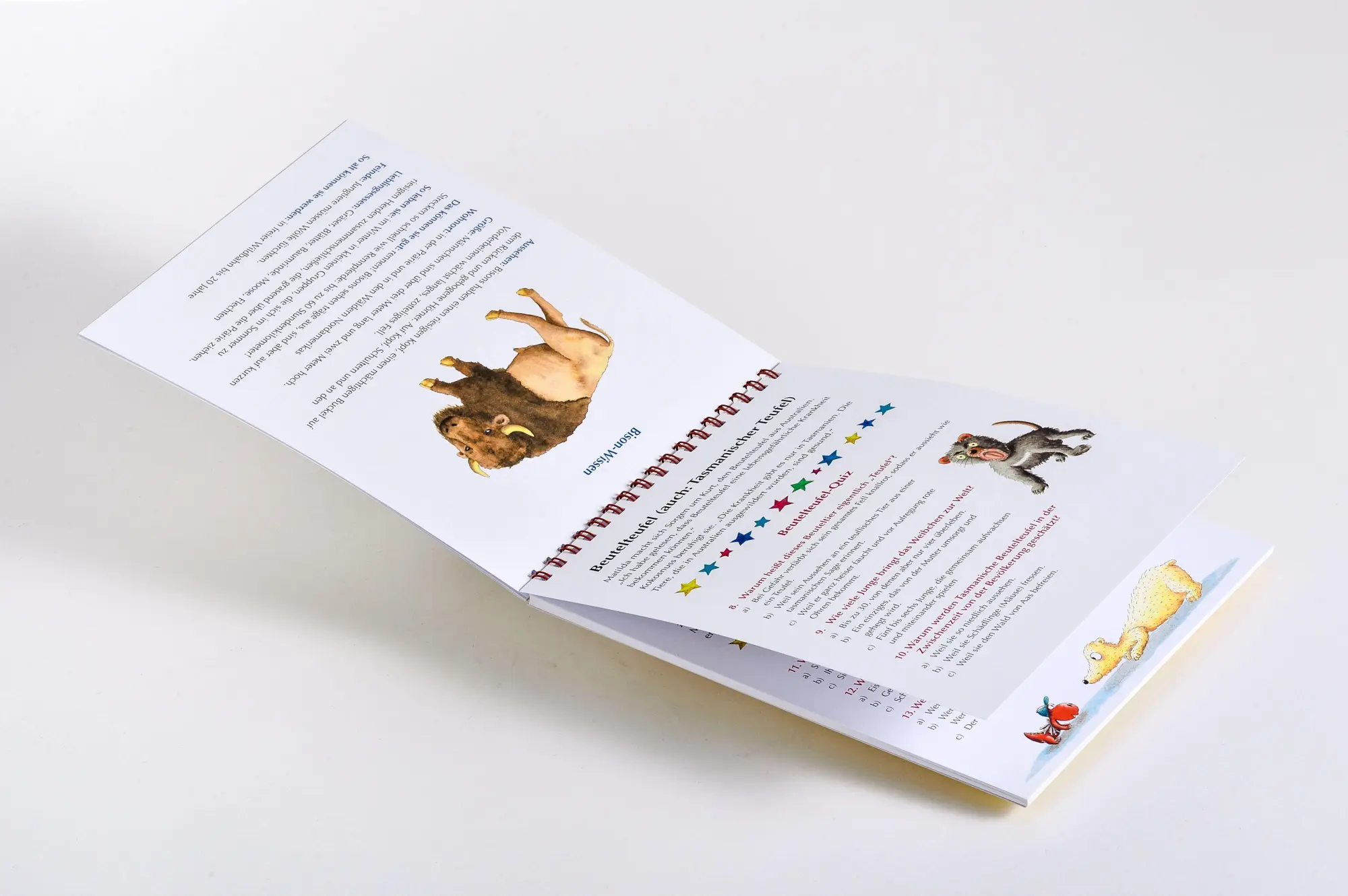 Bild: 9783570183120 | Der kleine Drache Kokosnuss - Quizblock Tiere | Ingo Siegner | Buch