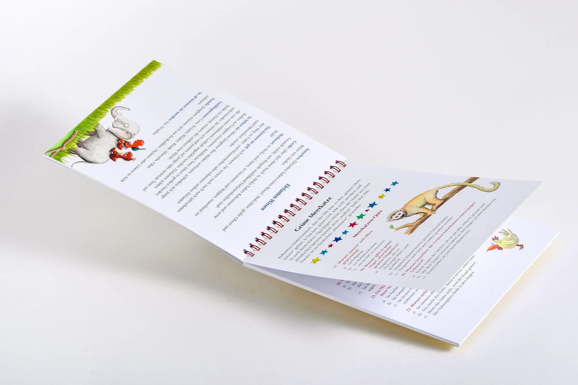 Bild: 9783570183120 | Der kleine Drache Kokosnuss - Quizblock Tiere | Ingo Siegner | Buch