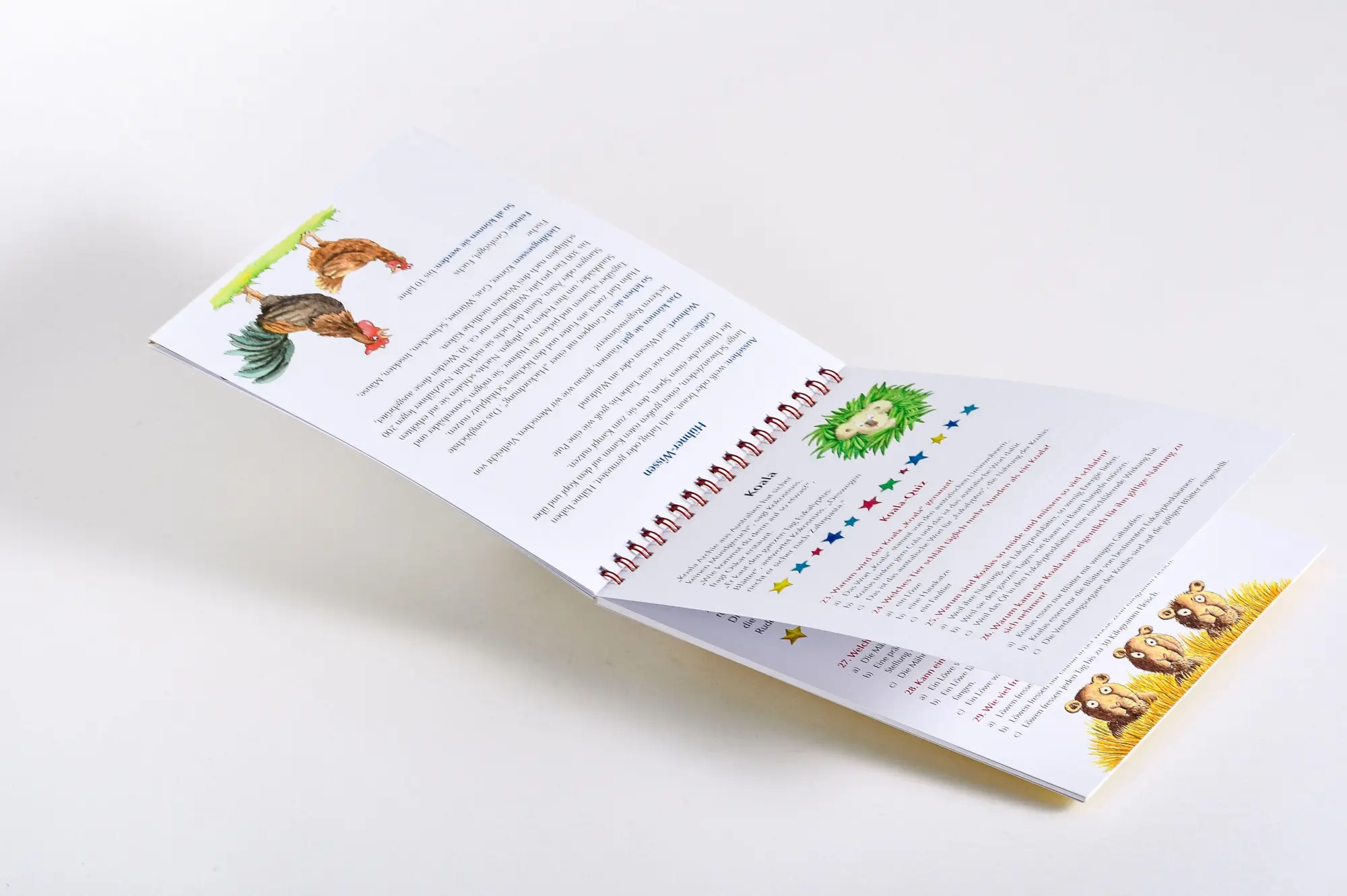 Bild: 9783570183120 | Der kleine Drache Kokosnuss - Quizblock Tiere | Ingo Siegner | Buch