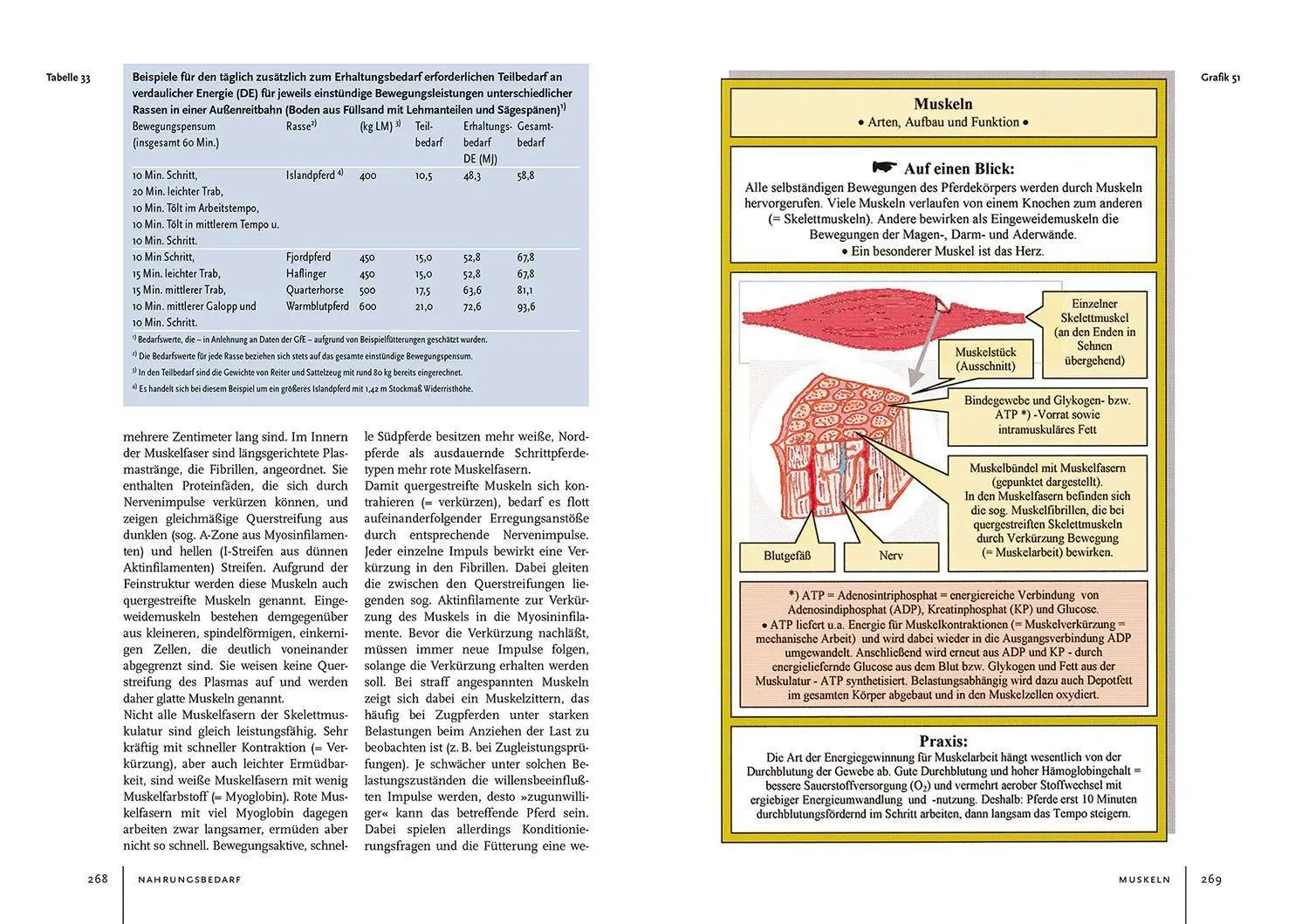 Bild: 9783440173220 | Pferdehaltung und -fütterung | Ingolf Bender | Buch | 432 S. | Deutsch