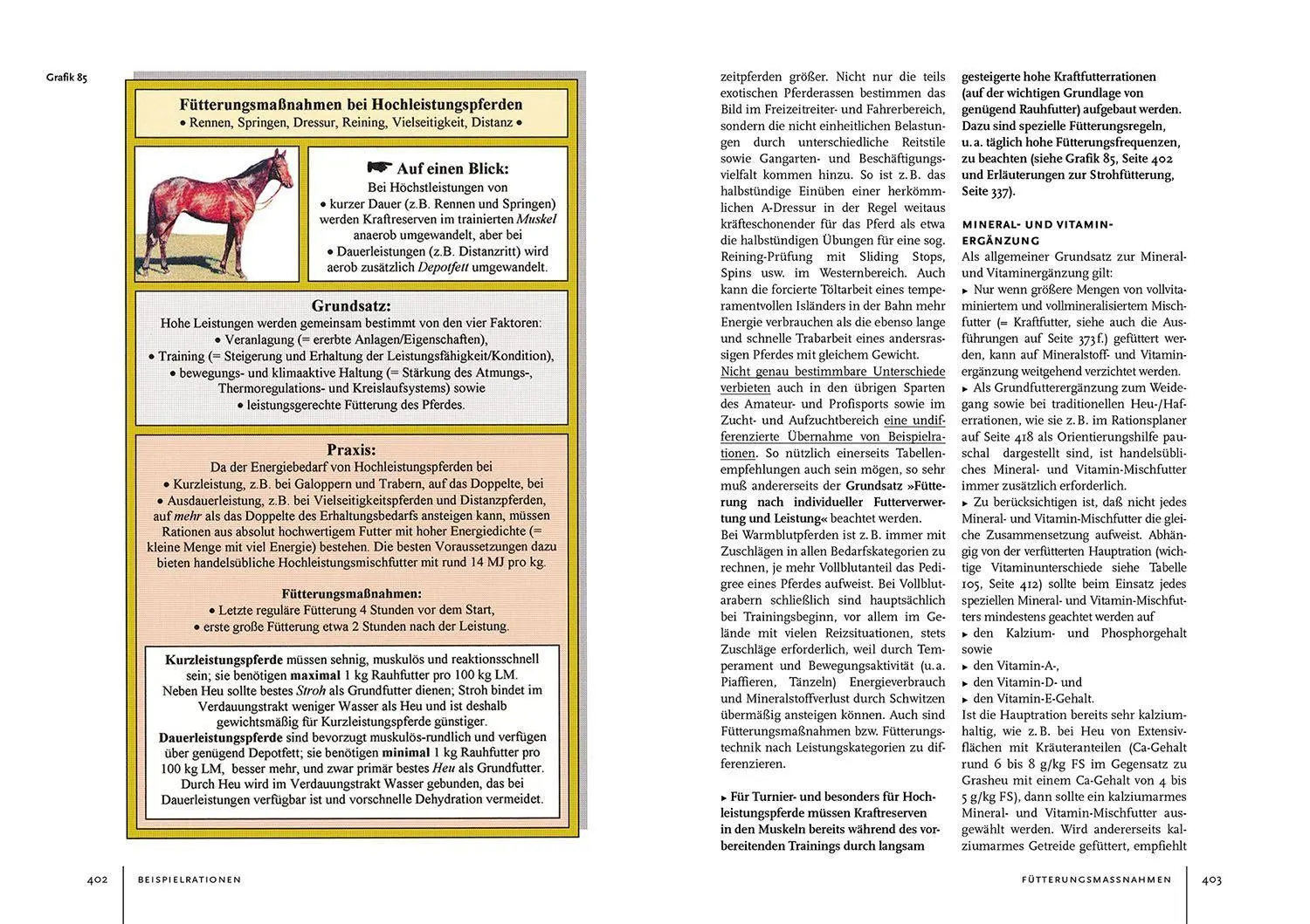 Bild: 9783440173220 | Pferdehaltung und -fütterung | Ingolf Bender | Buch | 432 S. | Deutsch