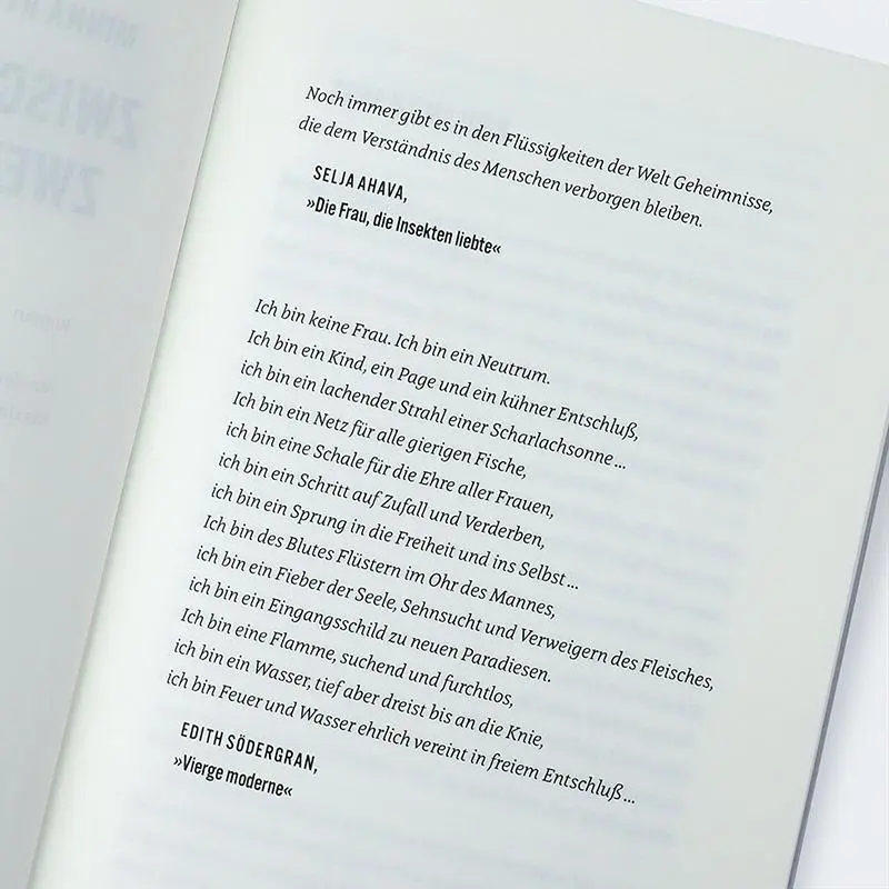 Bild: 9783446283220 | Zwischen zwei Leben | Roman | Minna Rytisalo | Buch | 272 S. | Deutsch